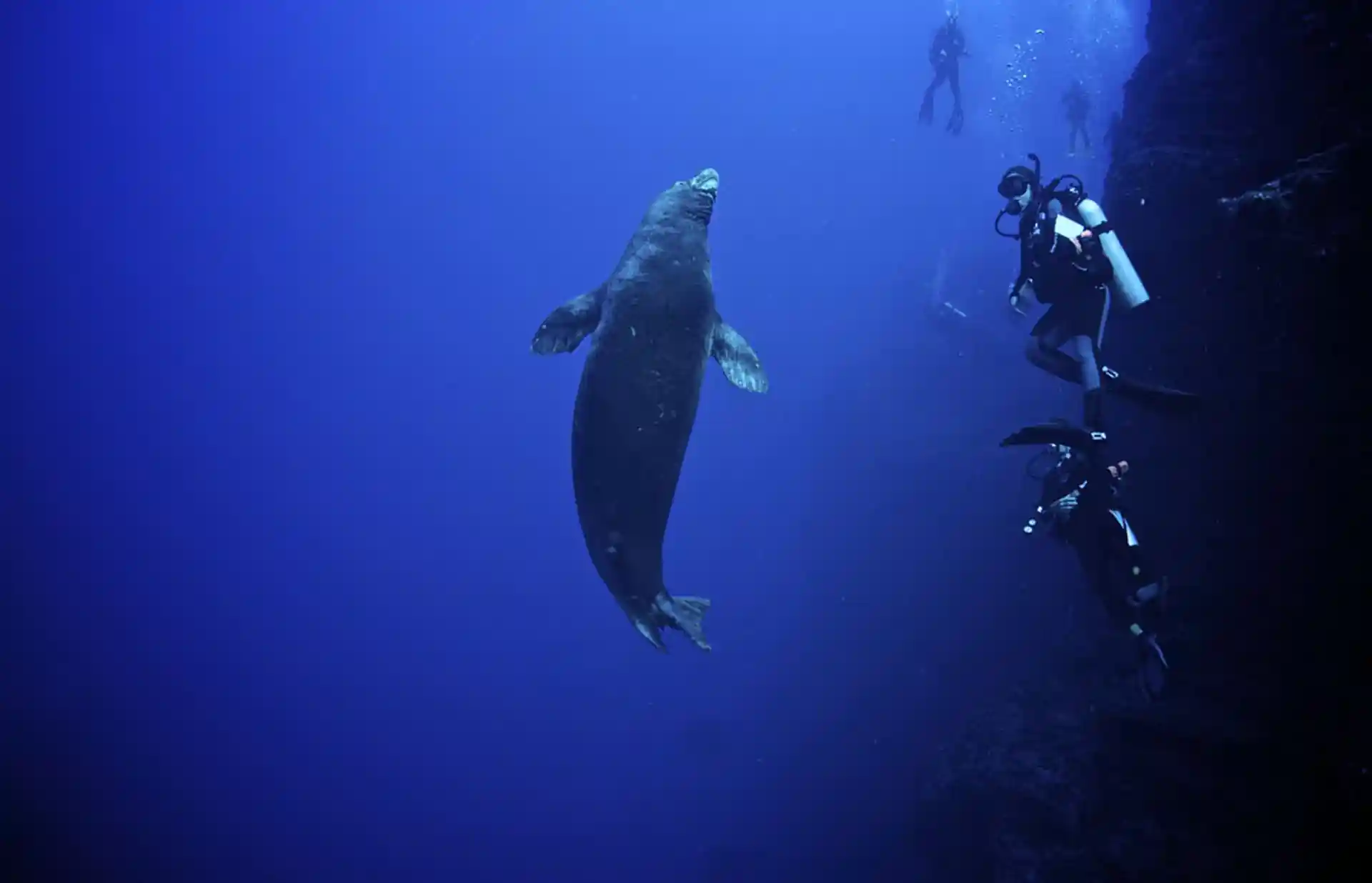 Dive shop photo