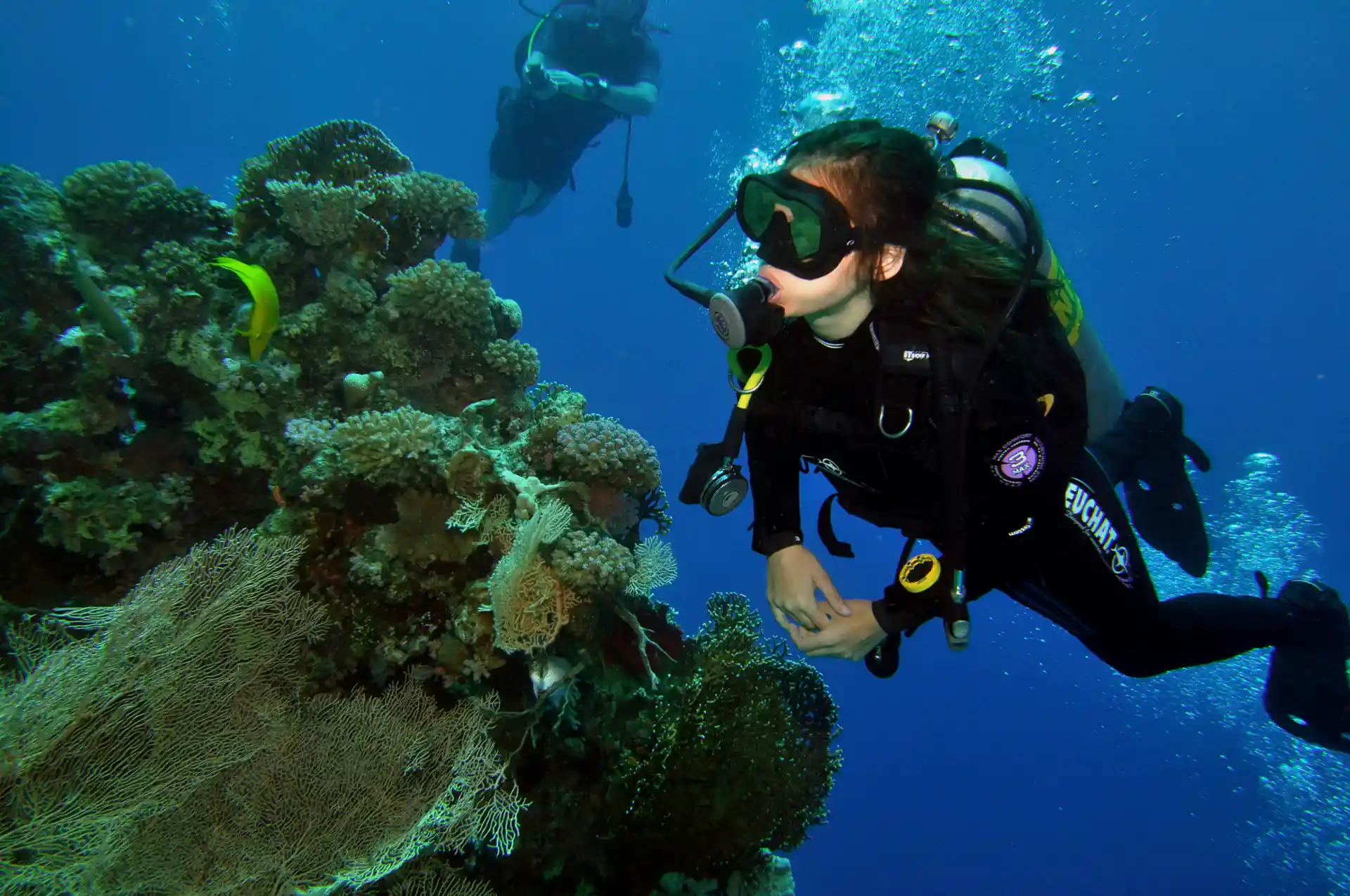 Enjoy shore and boat diving in national parks Tiran and Ras Mohammed