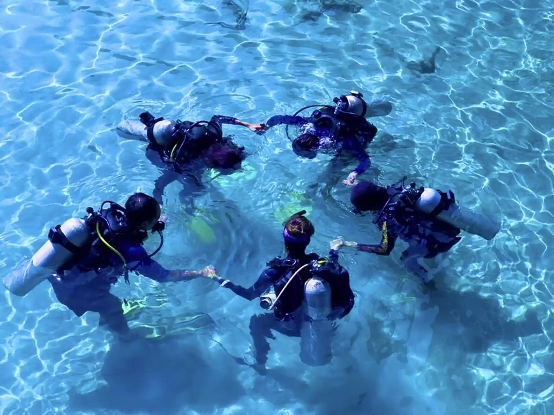 Dive shop photo