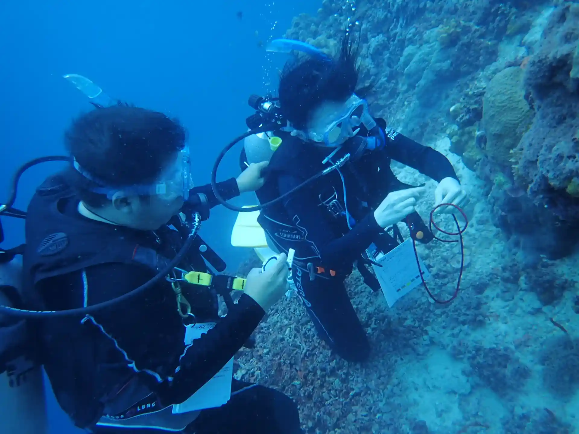 Pushing limits with Deep Diving Practice—an essential step in the Advanced Open Water course that builds confidence and mastery at depth.