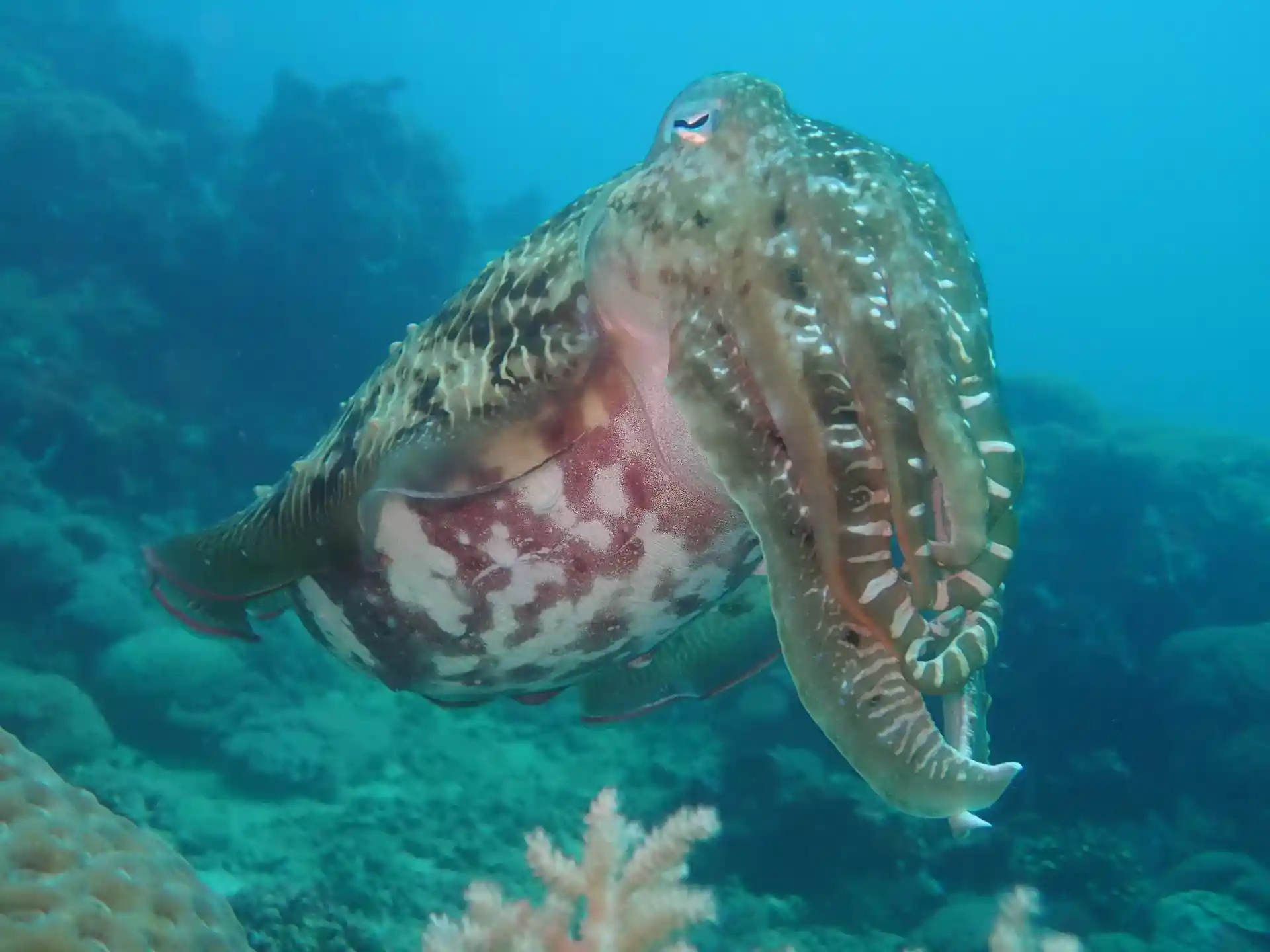 Dive site photo