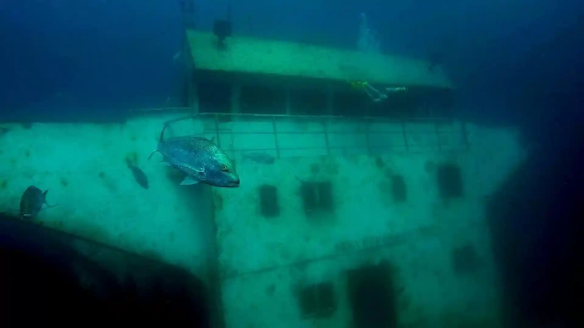 Dive site photo