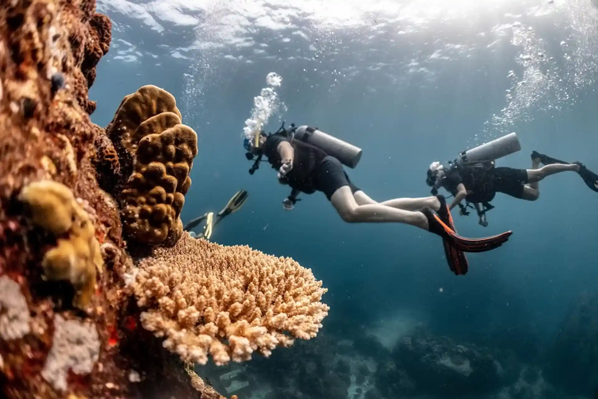 Explore the Koh Tao dive sites