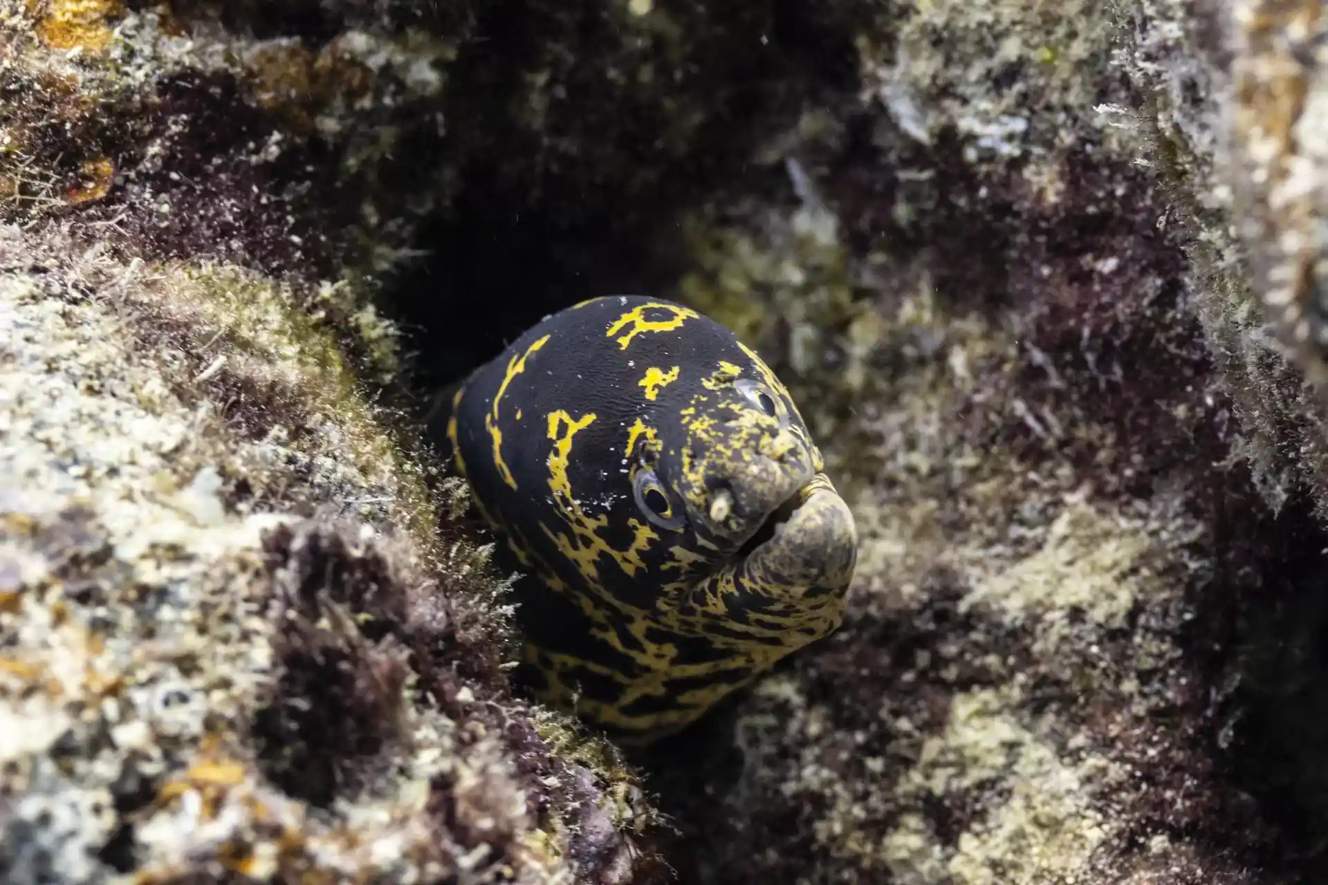 Foto des Tauchplatzes