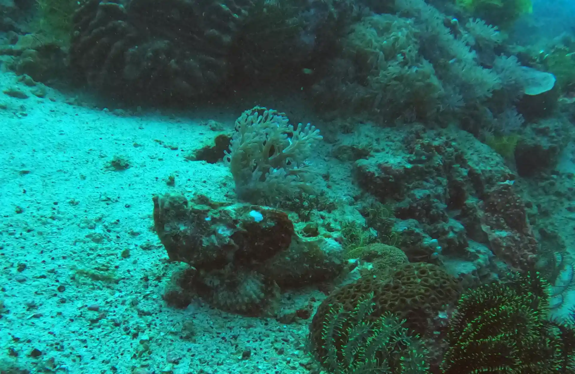 Foto des Tauchplatzes