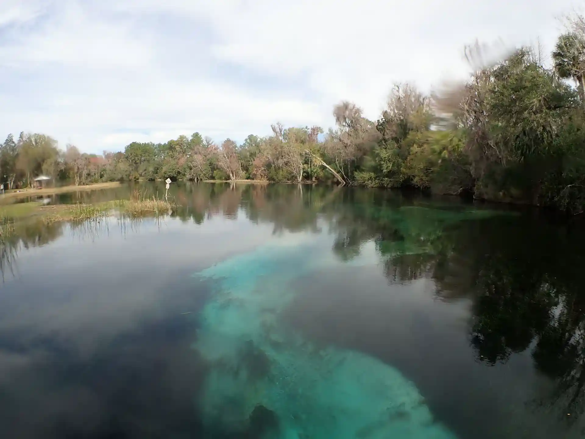 Surface view over a portion of Rainbow River.