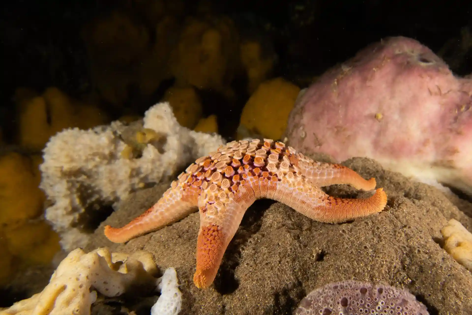 다이빙 포인트 사진