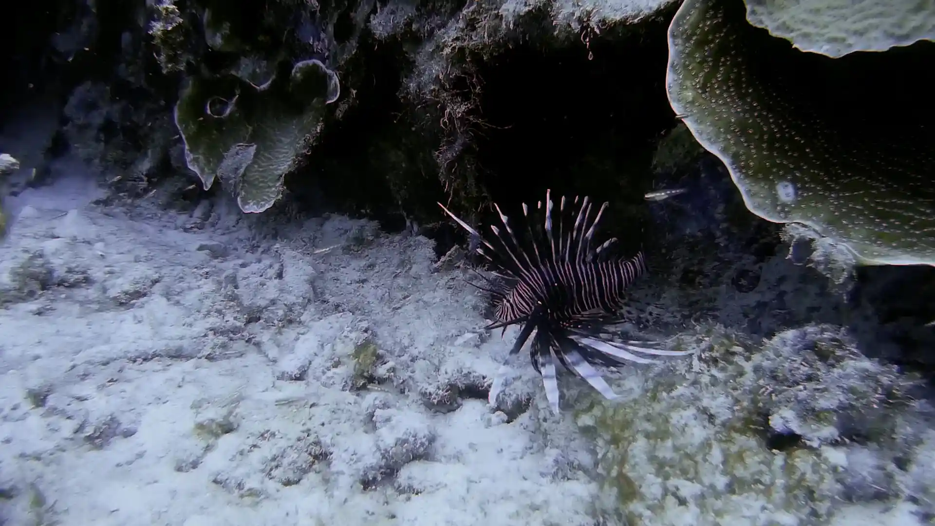 Dive site photo