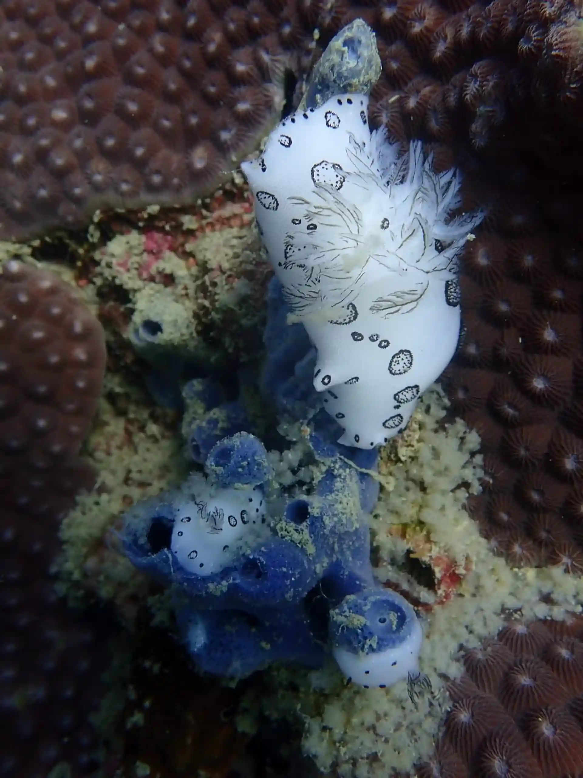 다이빙 포인트 사진