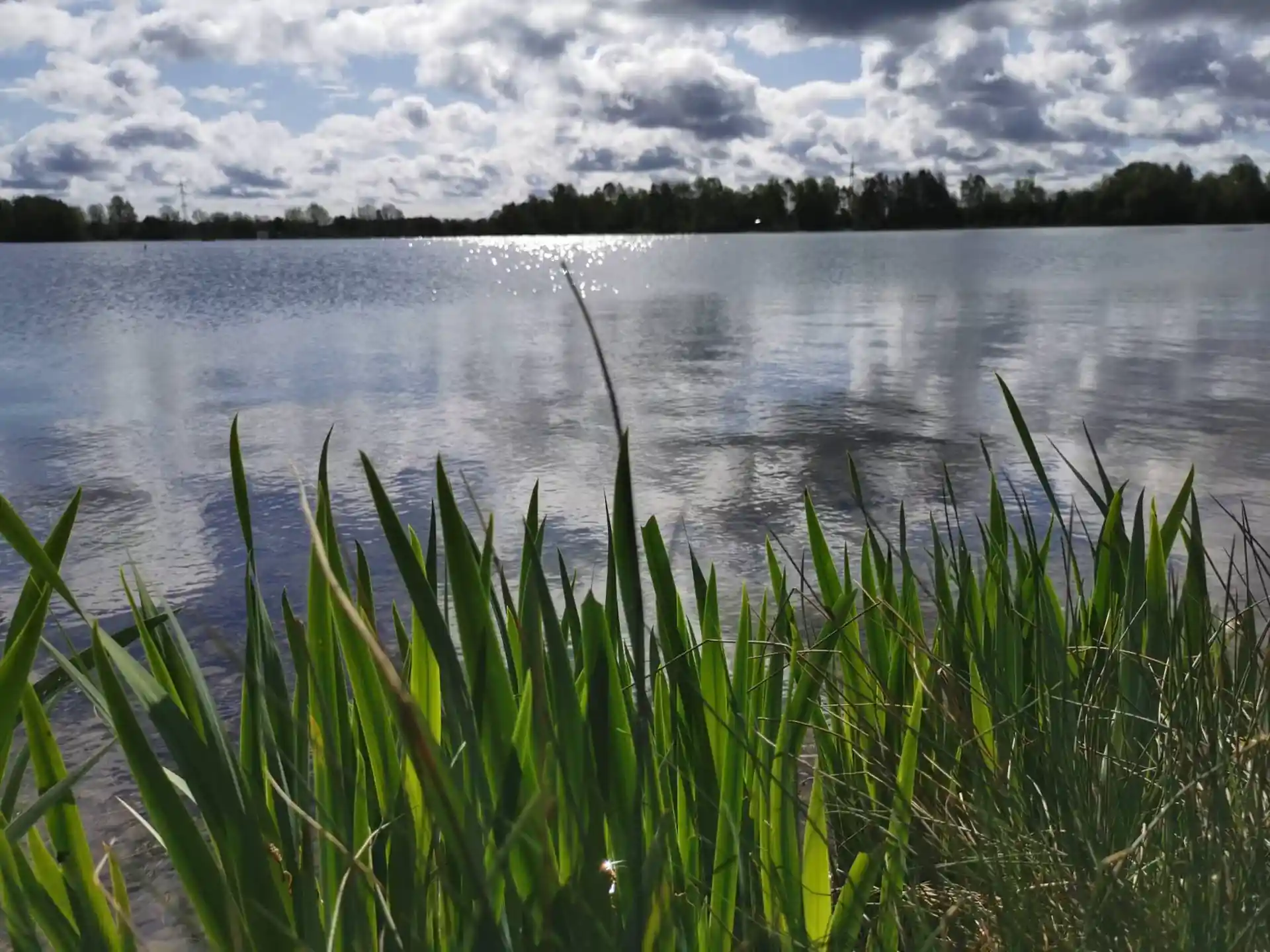 다이빙 포인트 사진