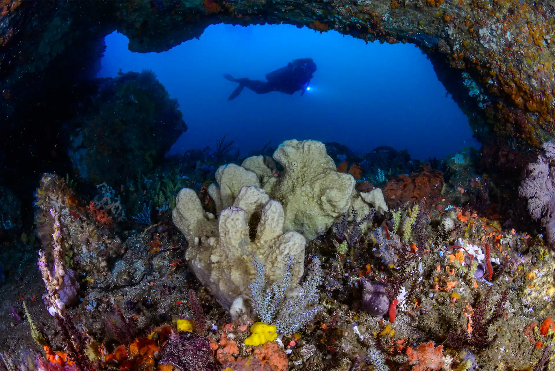 Dive site photo