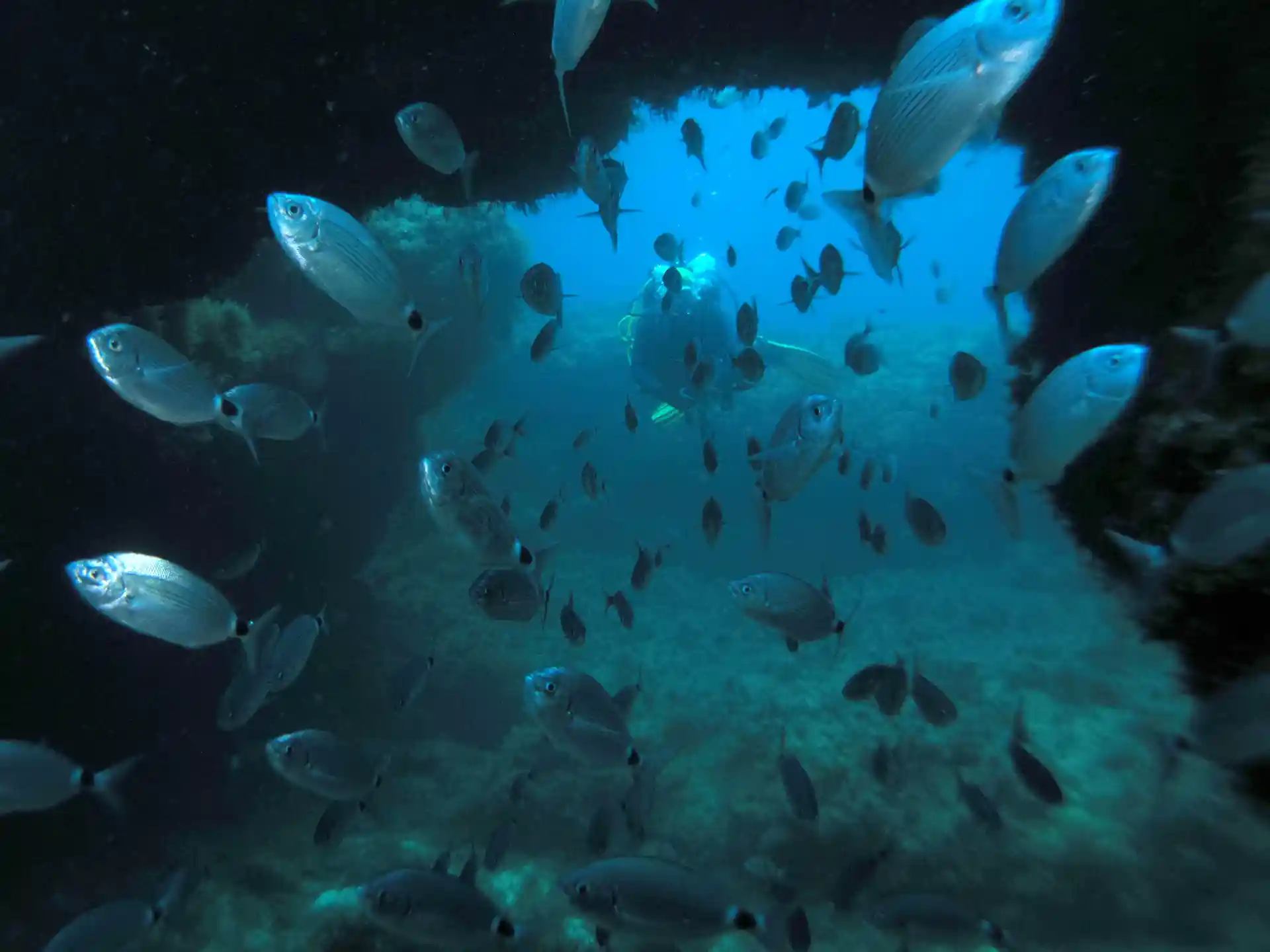 Gozo | 10 Dive Package | Book online | PADI Adventures