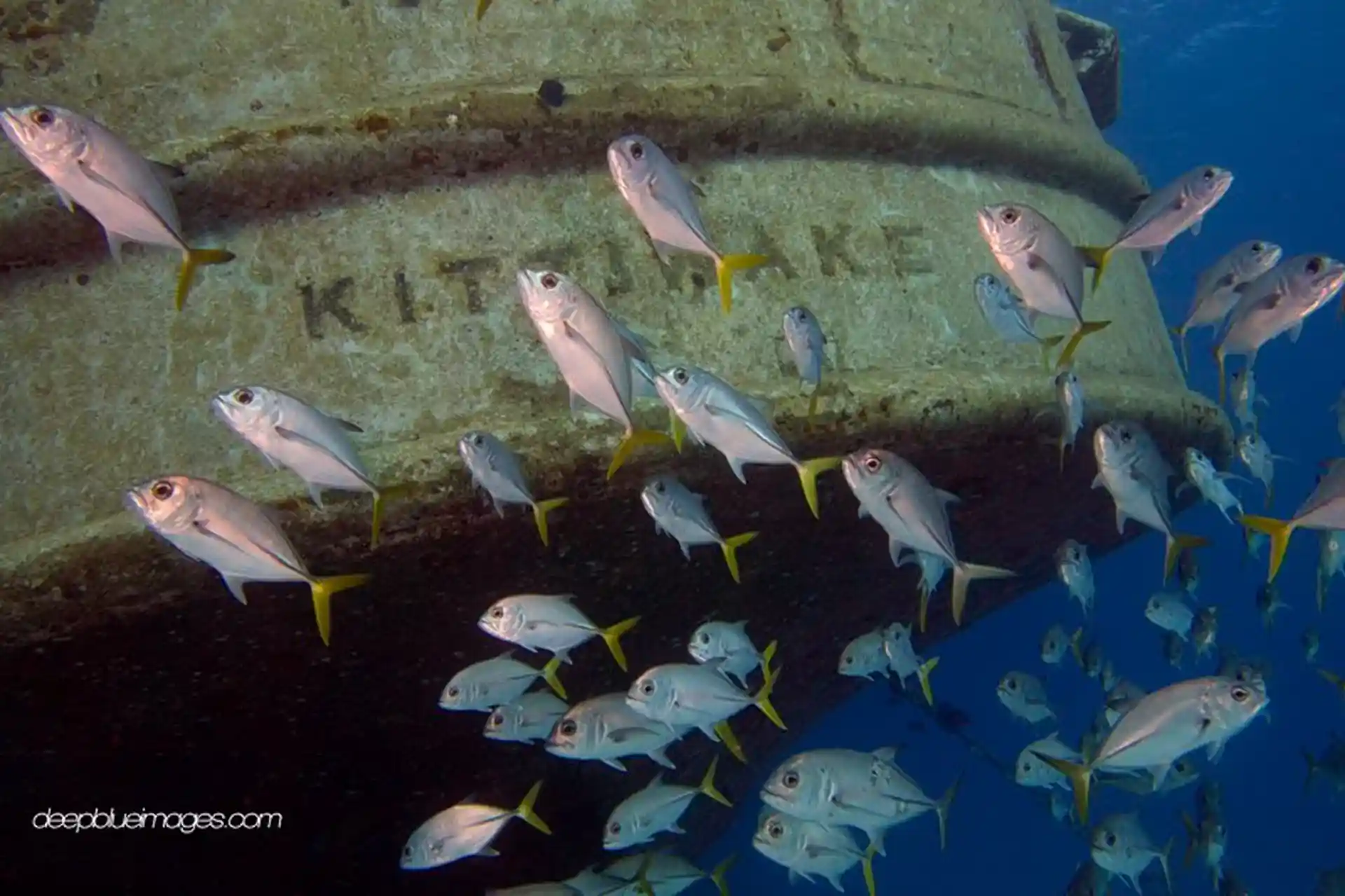 Dive shop photo
