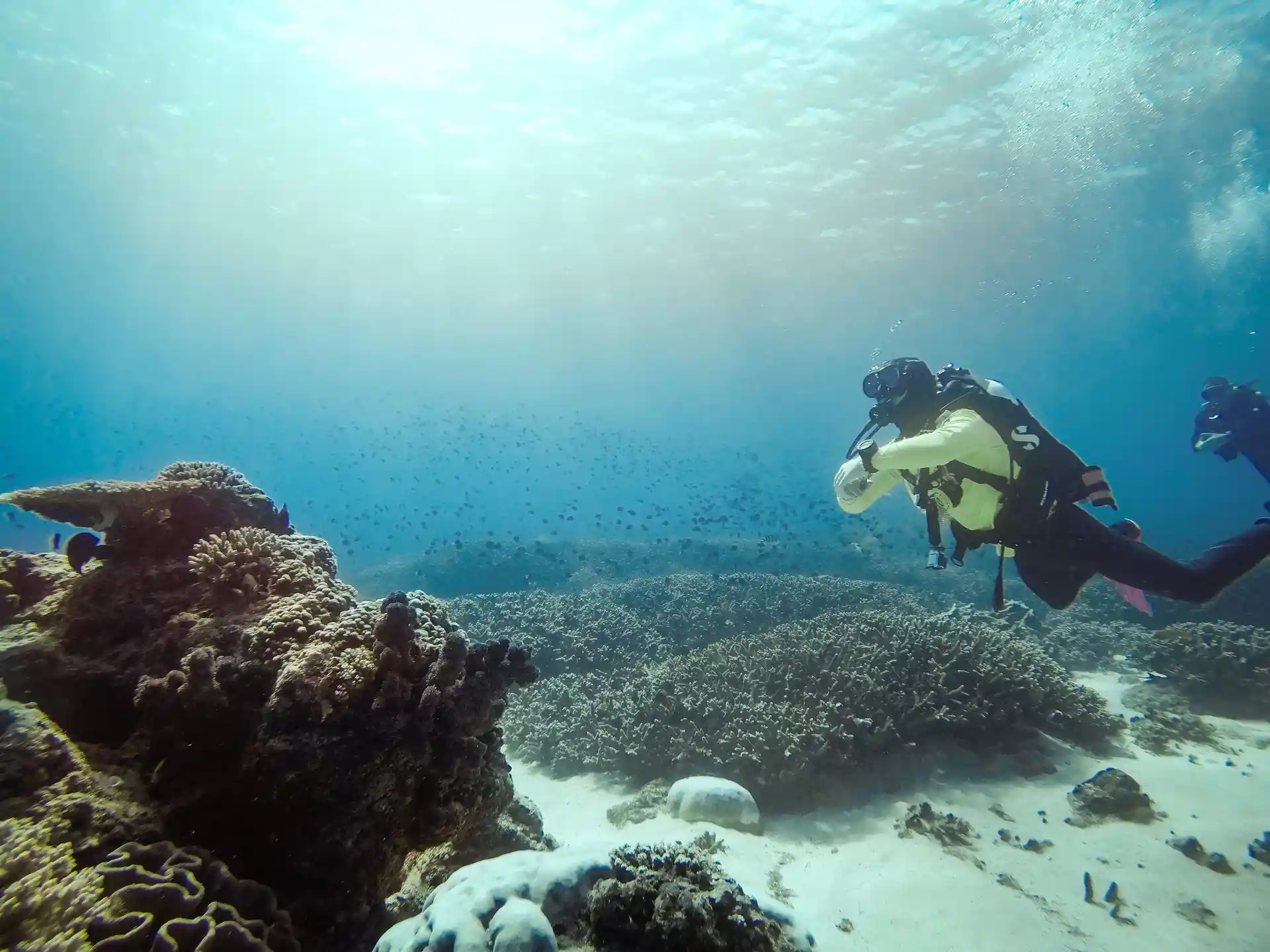 Dive site photo
