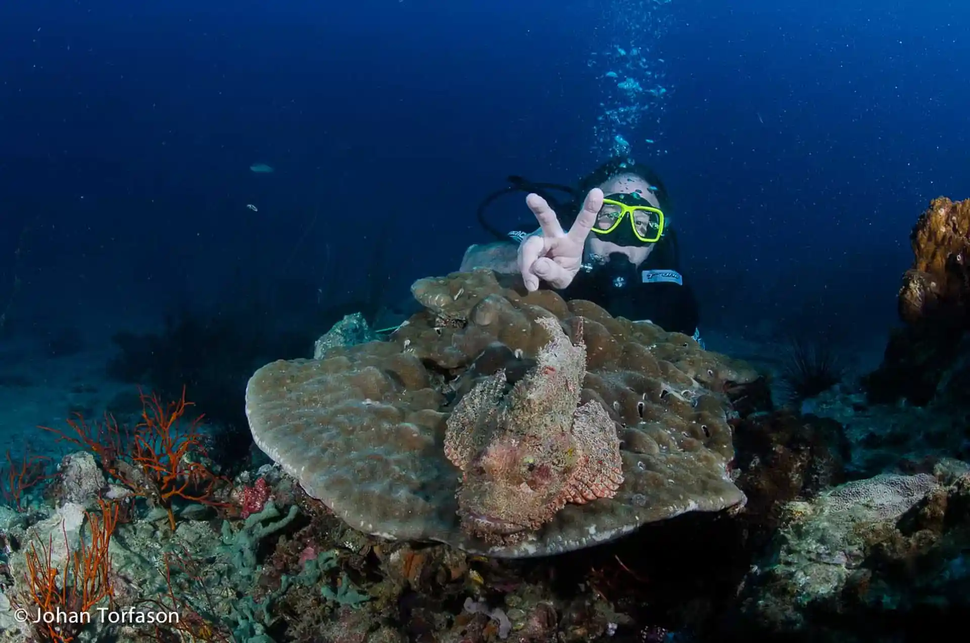 Dive shop photo