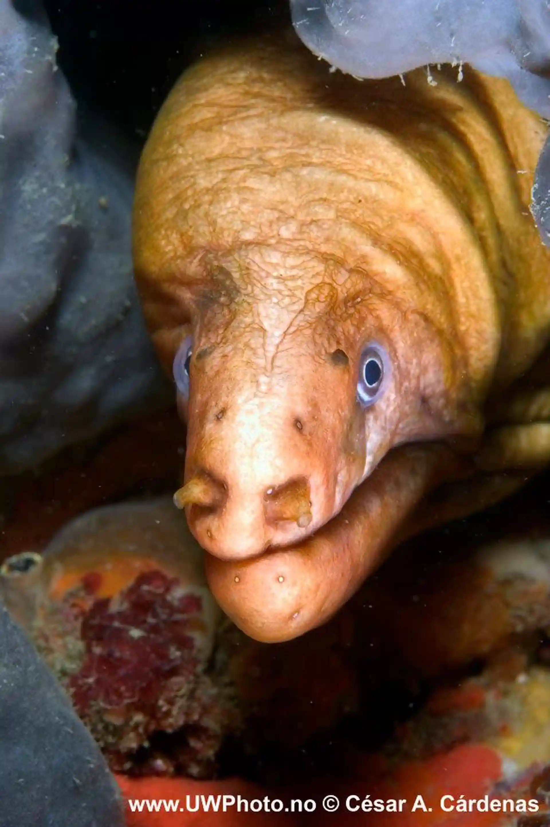 다이빙 포인트 사진