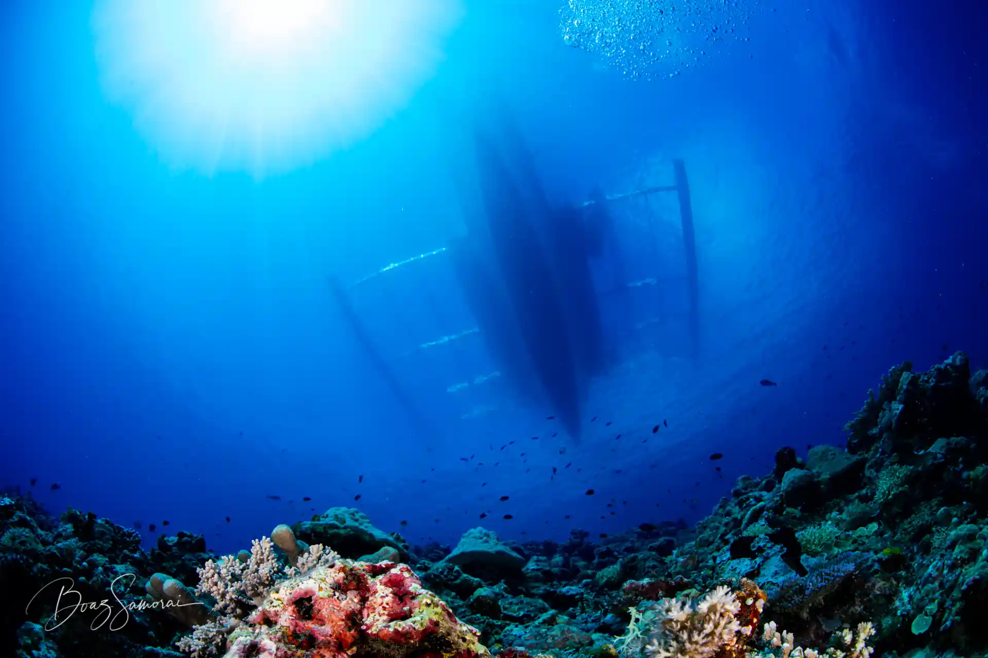 다이빙 포인트 사진