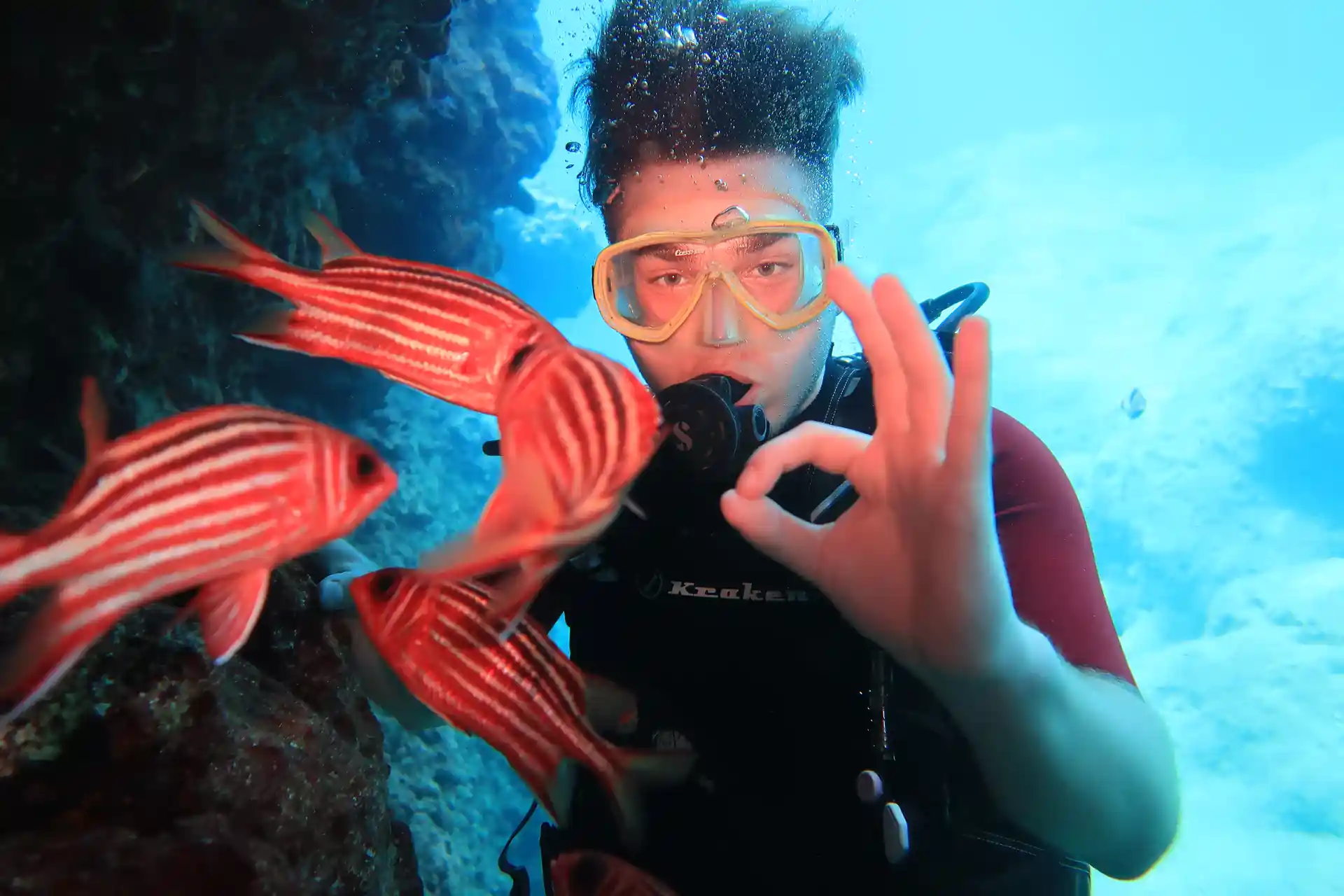 The whole Mediterranean underwater world is waiting for you in Three İslands, Tekirova: ancient amphoraes and anchors, turtles, sting rays, eels and octopuses, barracudas and sea seals, crabs, lionfish and many many different kinds of sea fish.