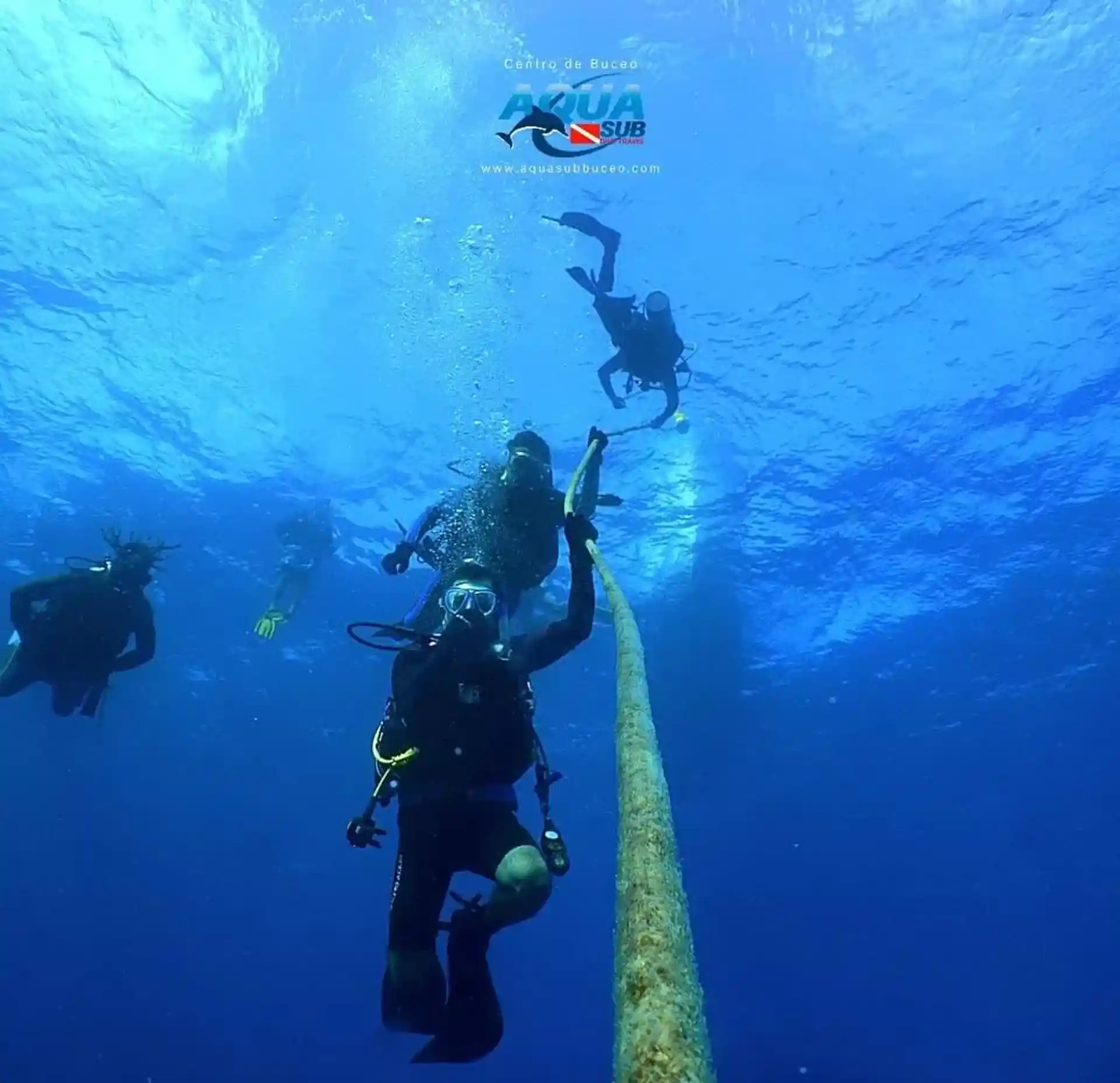 Foto de la actividad