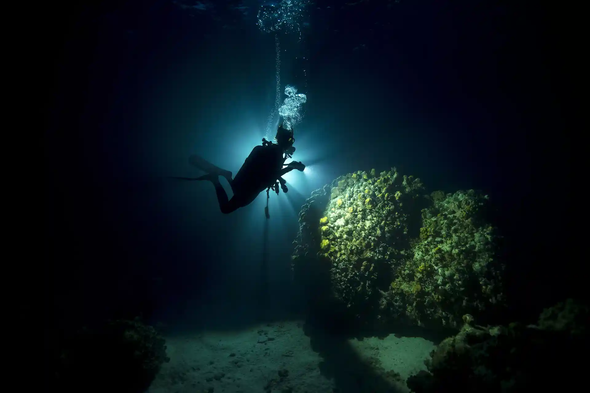 Inspecting a coral head during a night dive