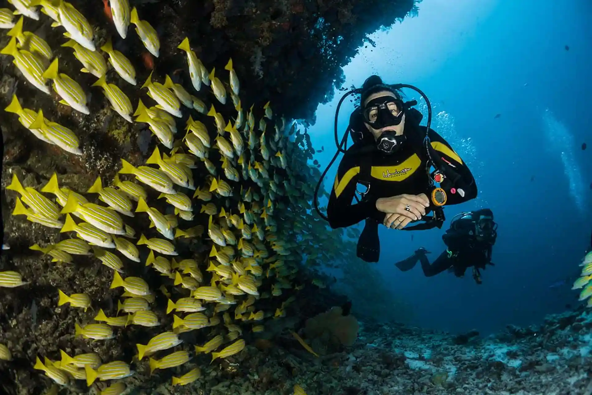 Dive shop photo