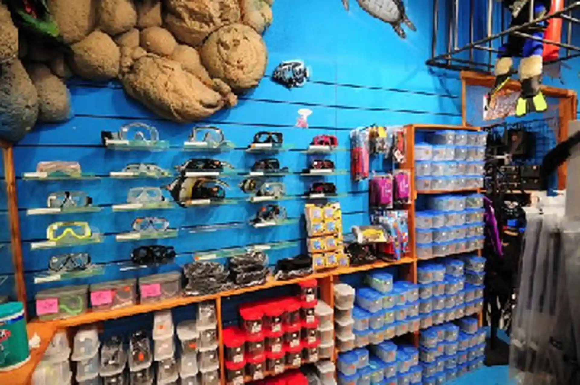 Dive shop photo