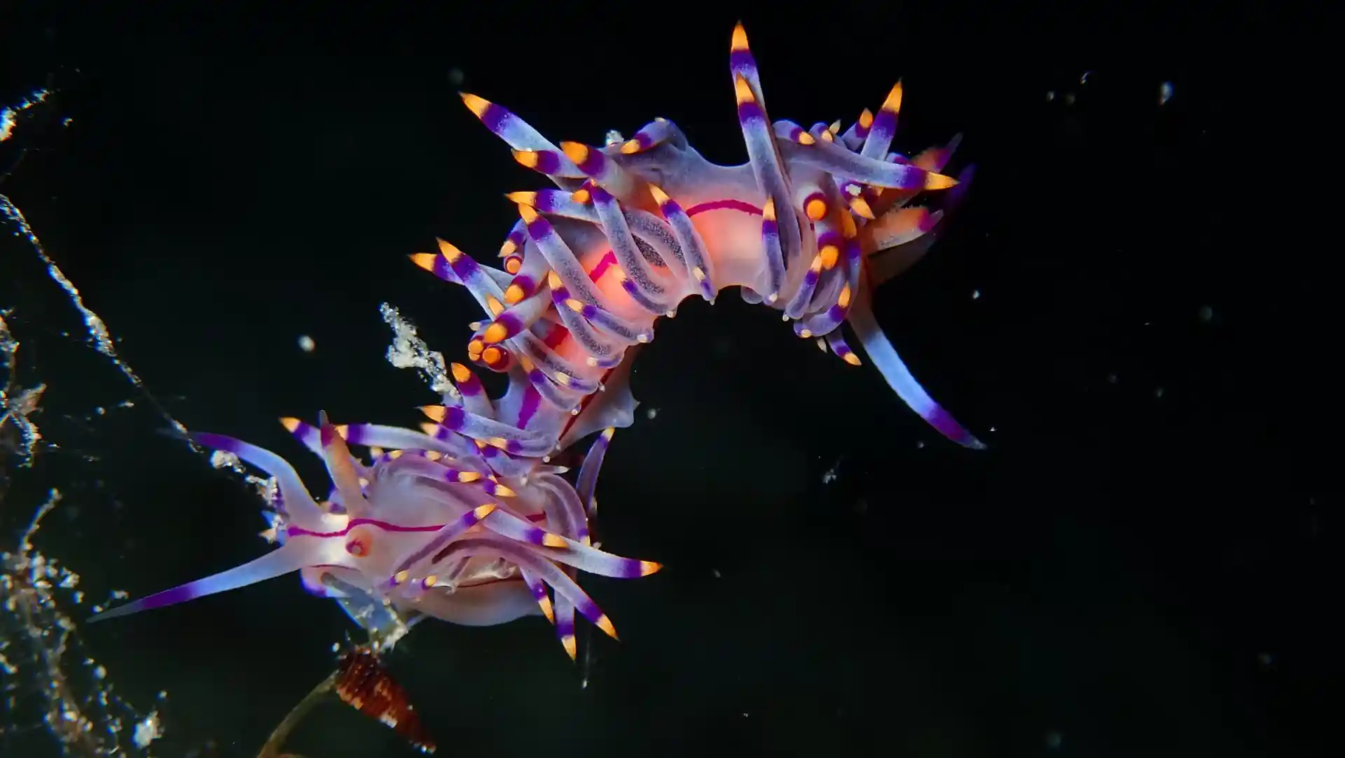 Dive site photo