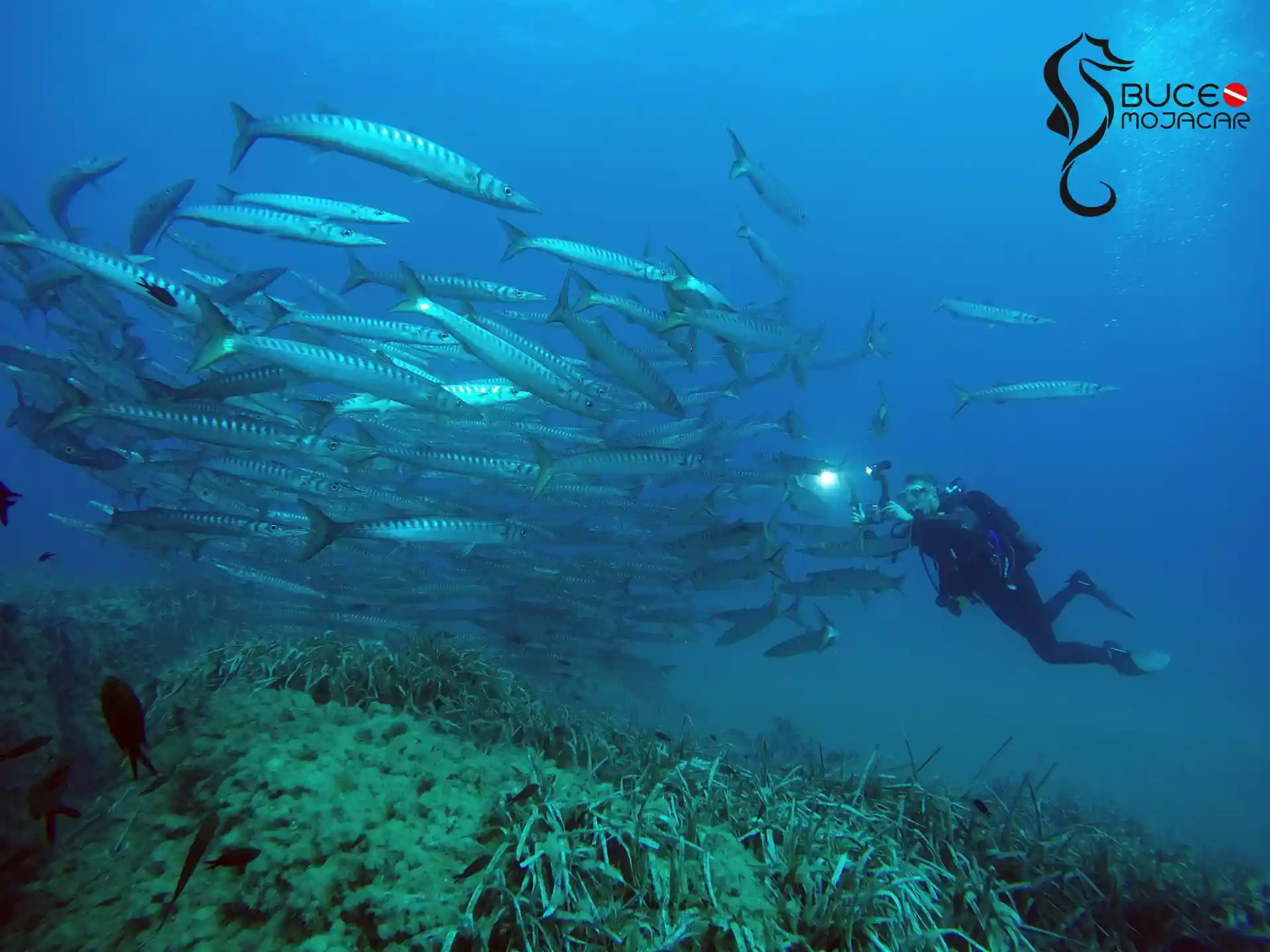 Descubre el Parque Natural de Cabo de Gata.