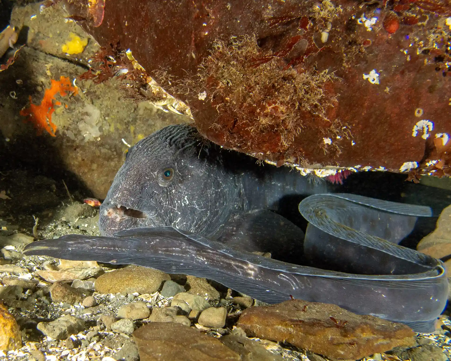 Dive shop photo