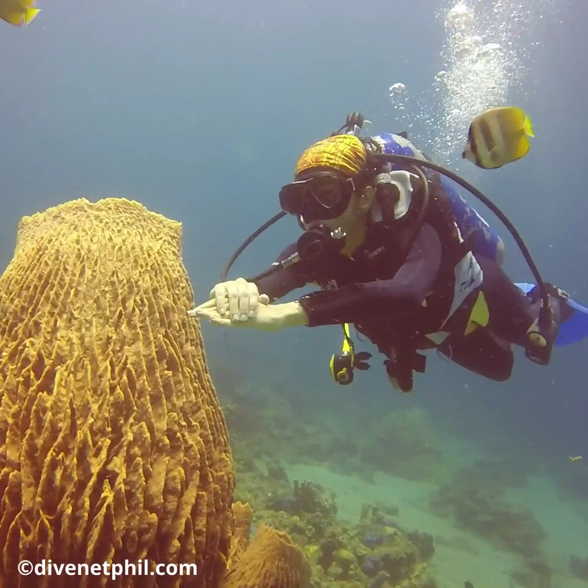 Learn buoyancy control.