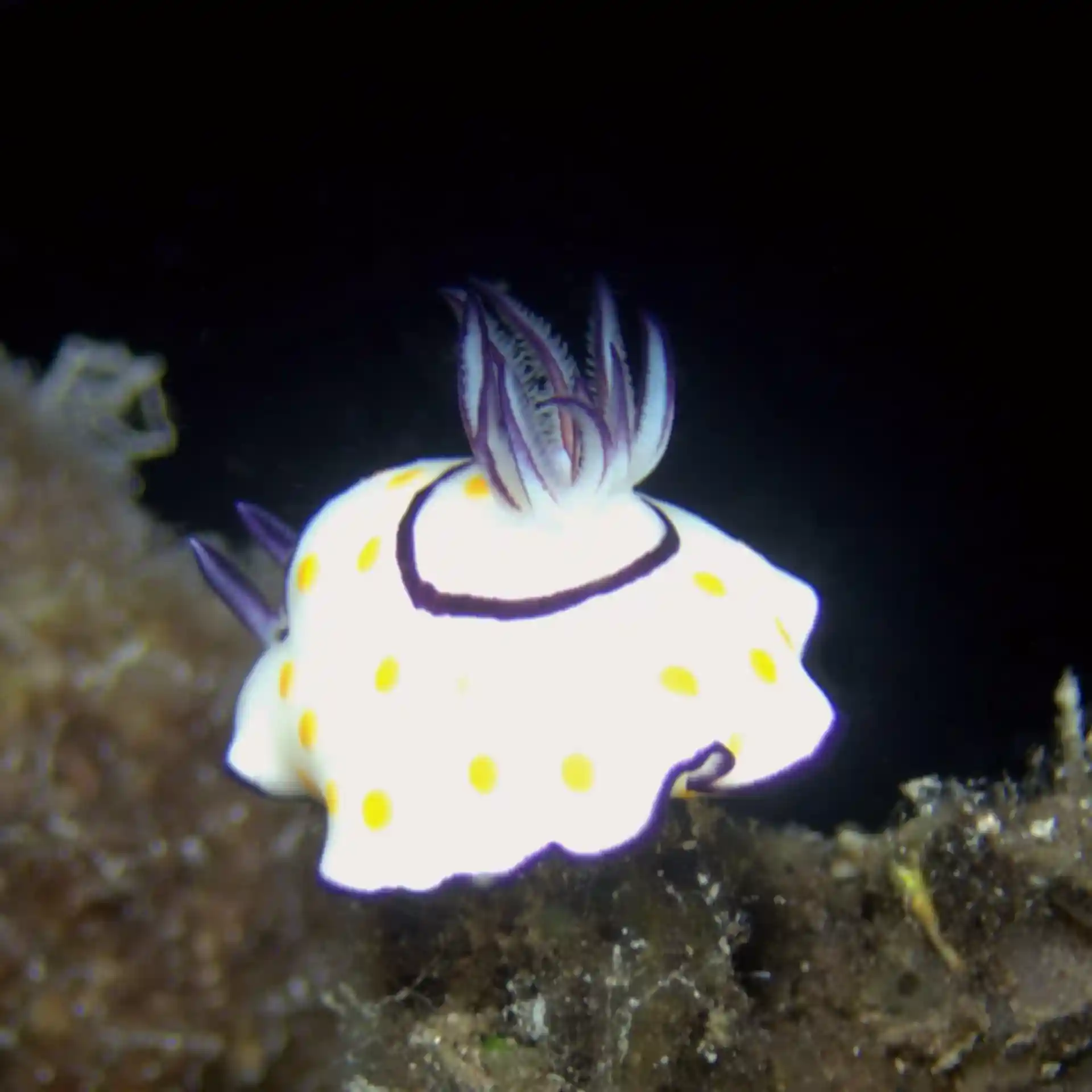 Dive shop photo