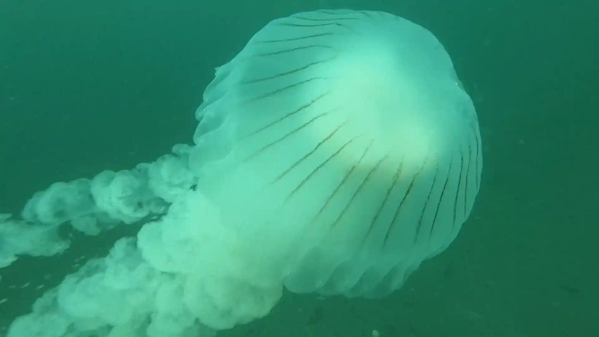 Dive site photo