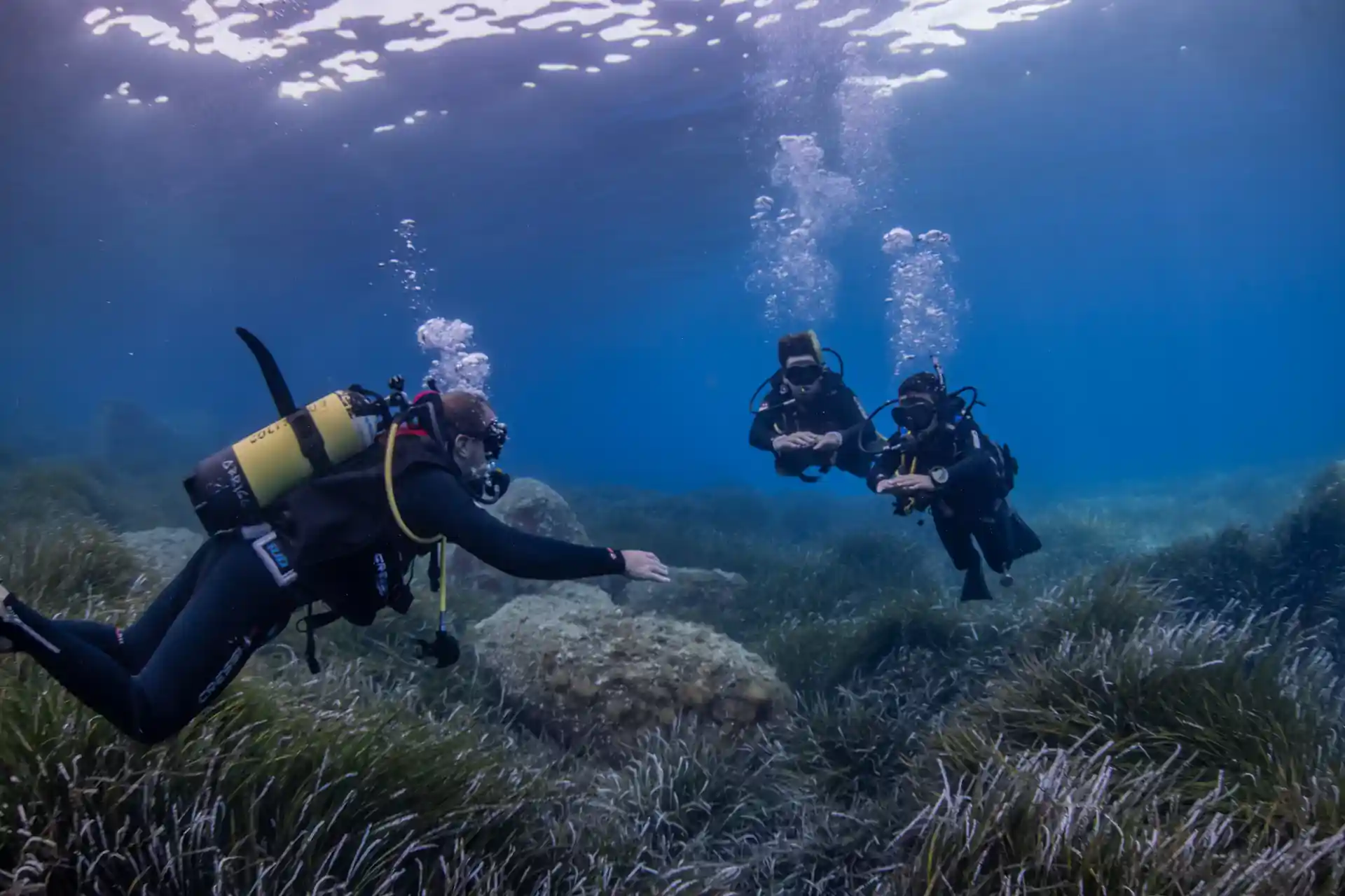 Photo de l'activité