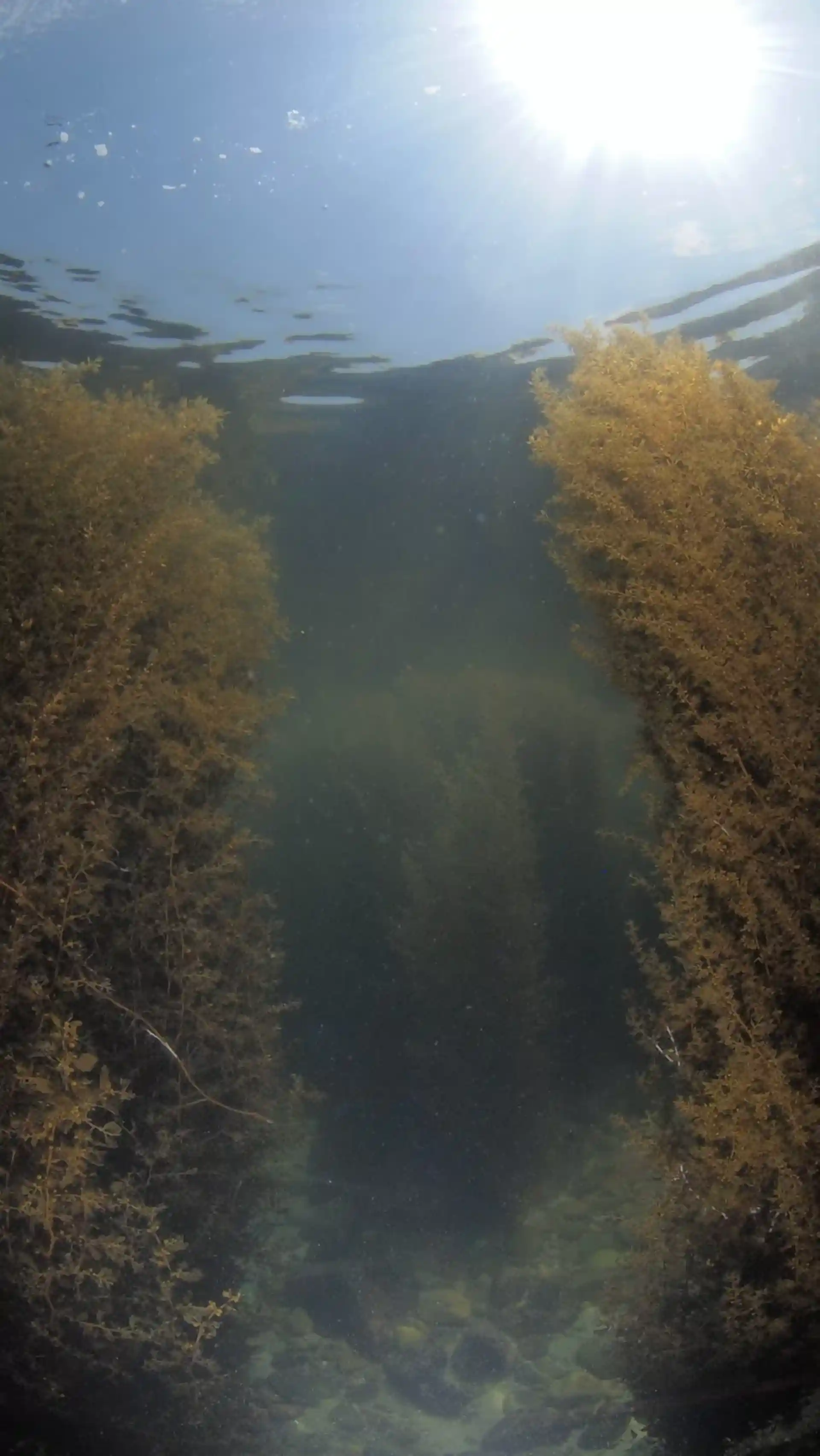 Foto des Tauchplatzes