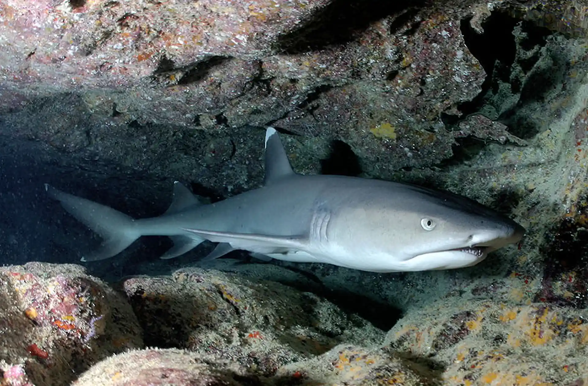 Dive site photo