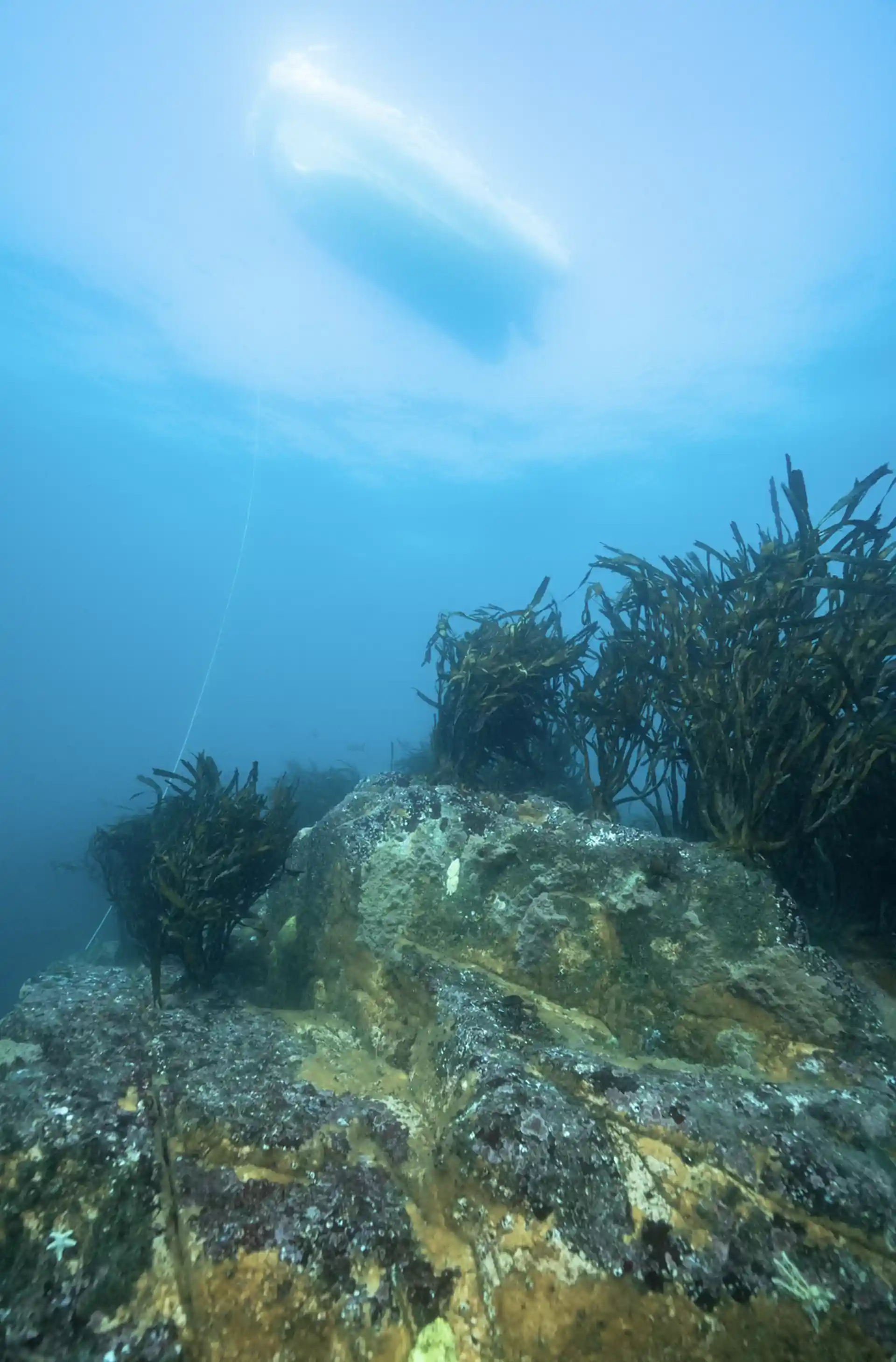 Dive site photo