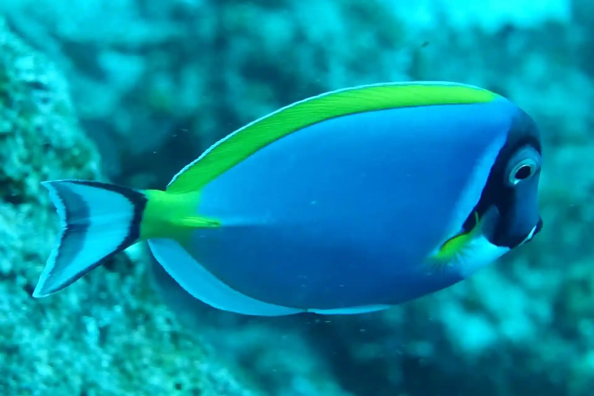 Dive site photo