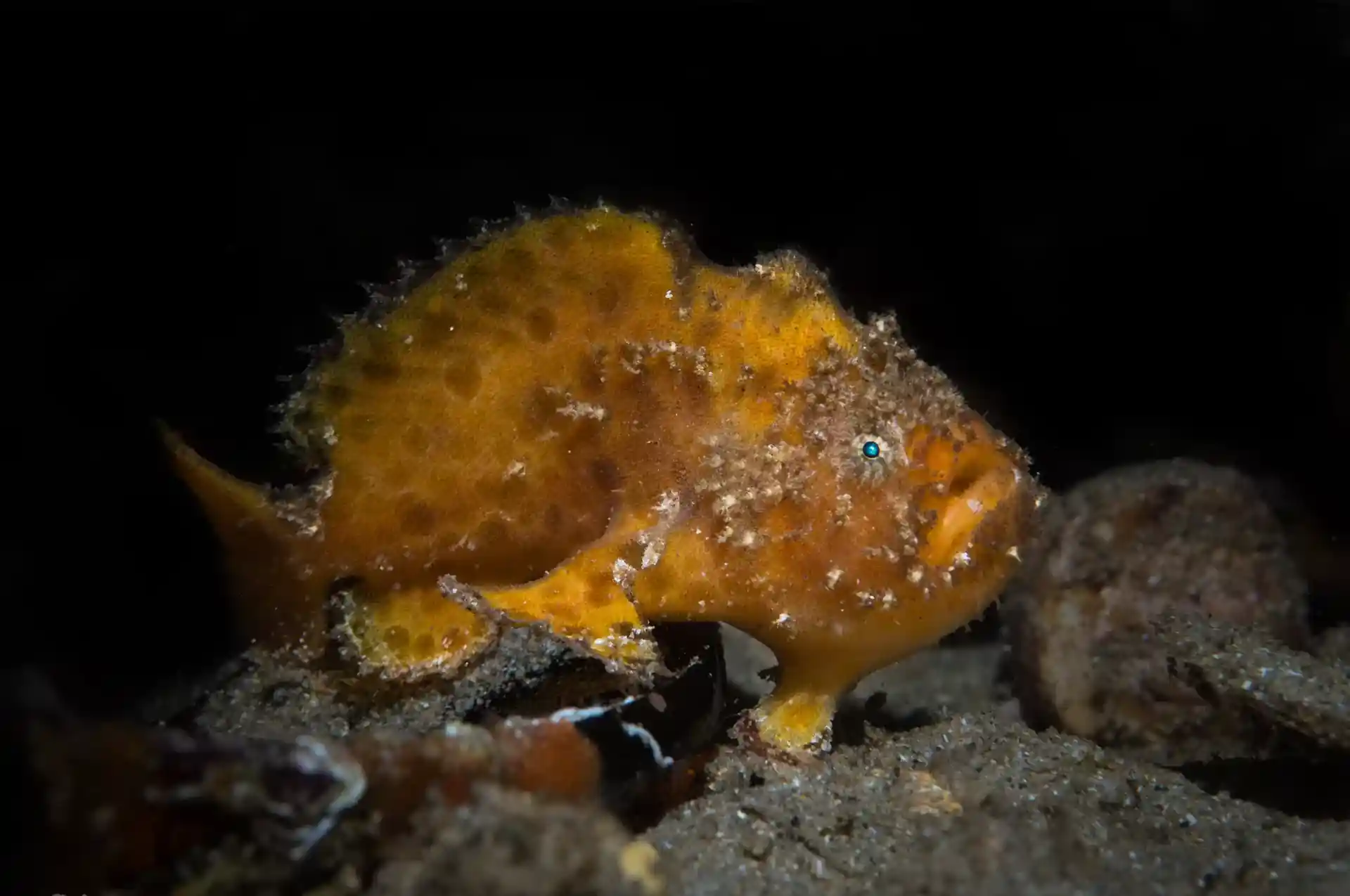 Dive site photo