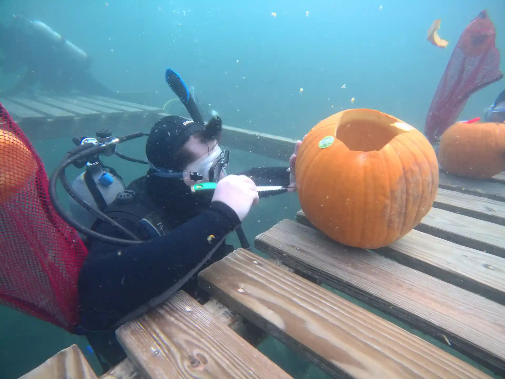 Scuba Diver carving a pumpkin, underwater