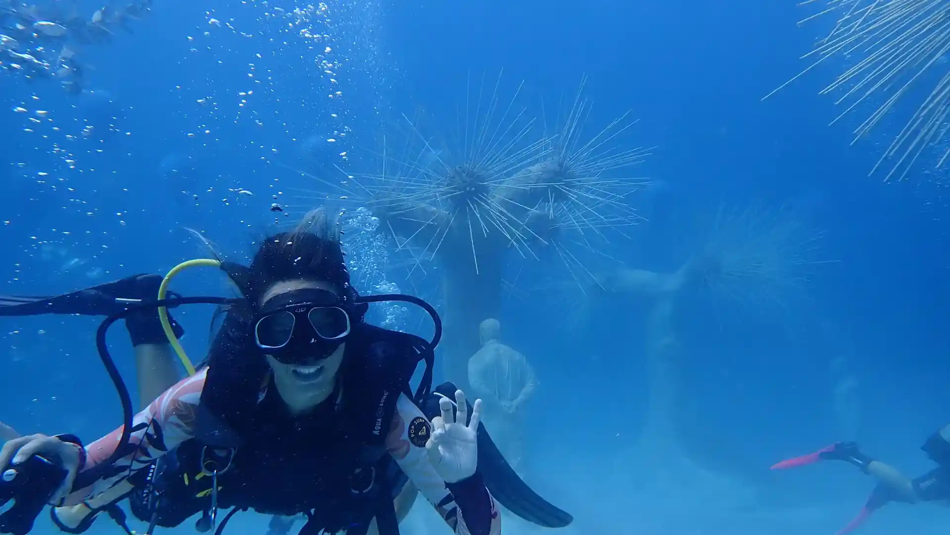 Foto van de duiklocatie