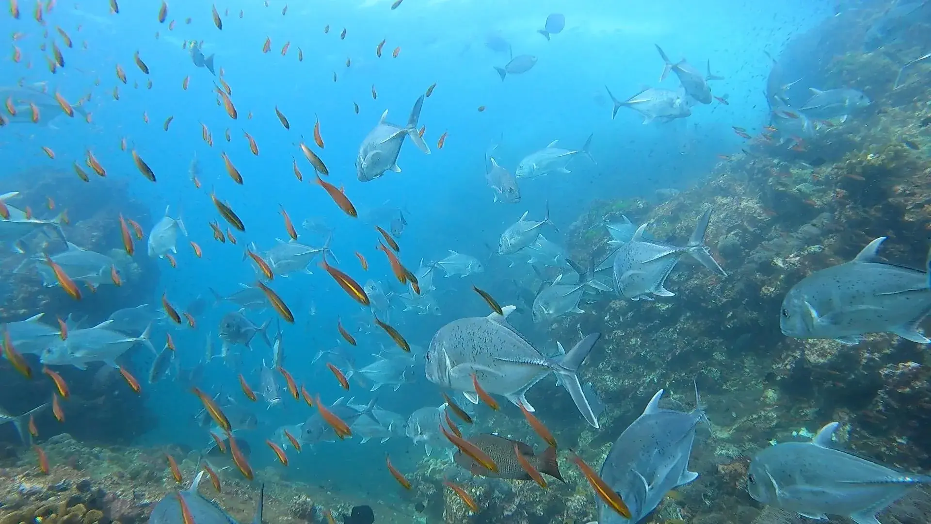 Photo du magasin de plongée