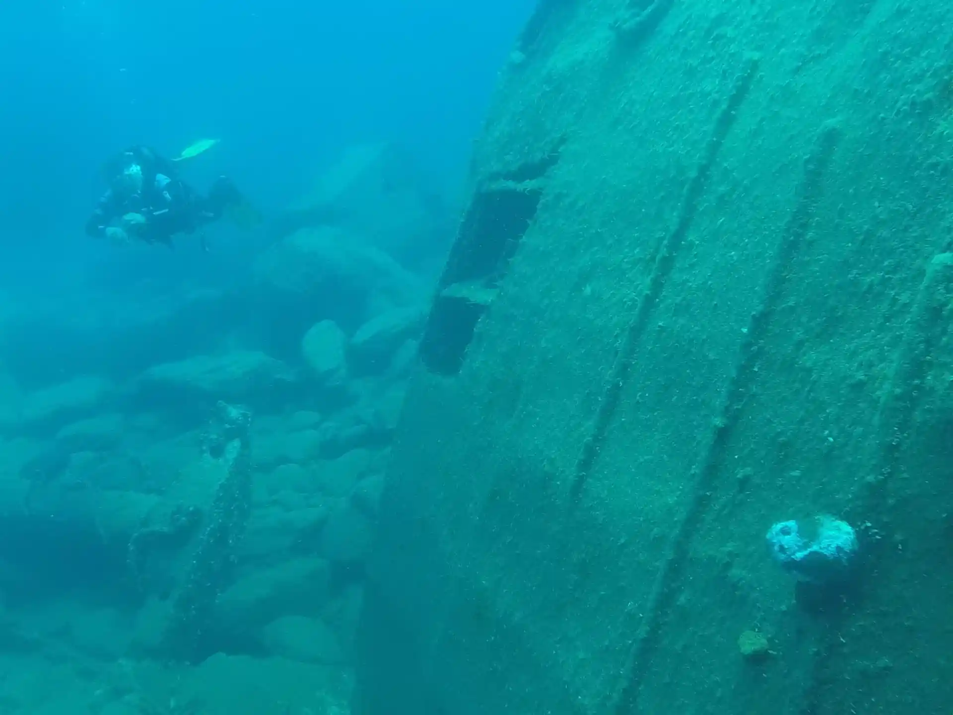 다이빙 포인트 사진