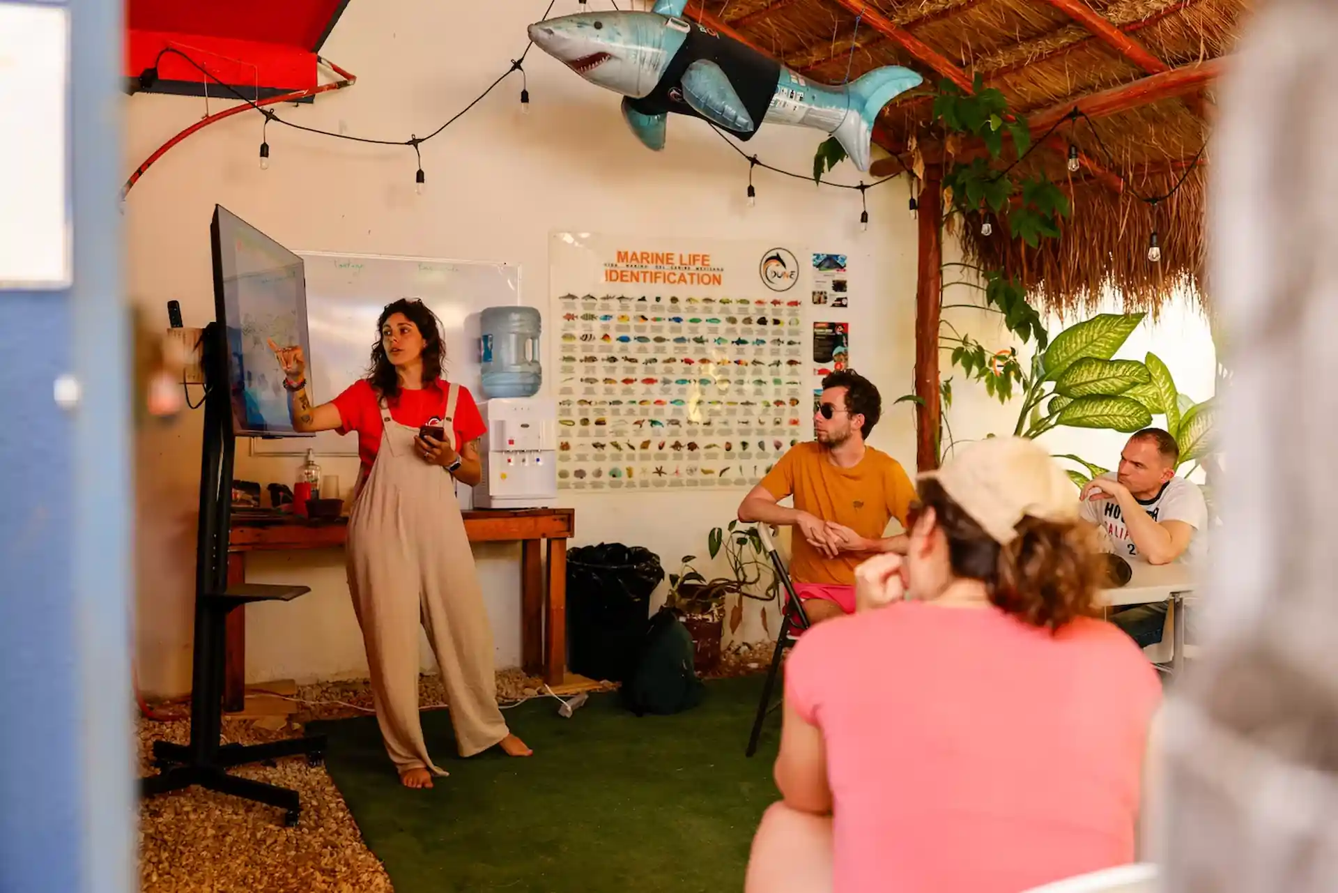 Foto de la actividad