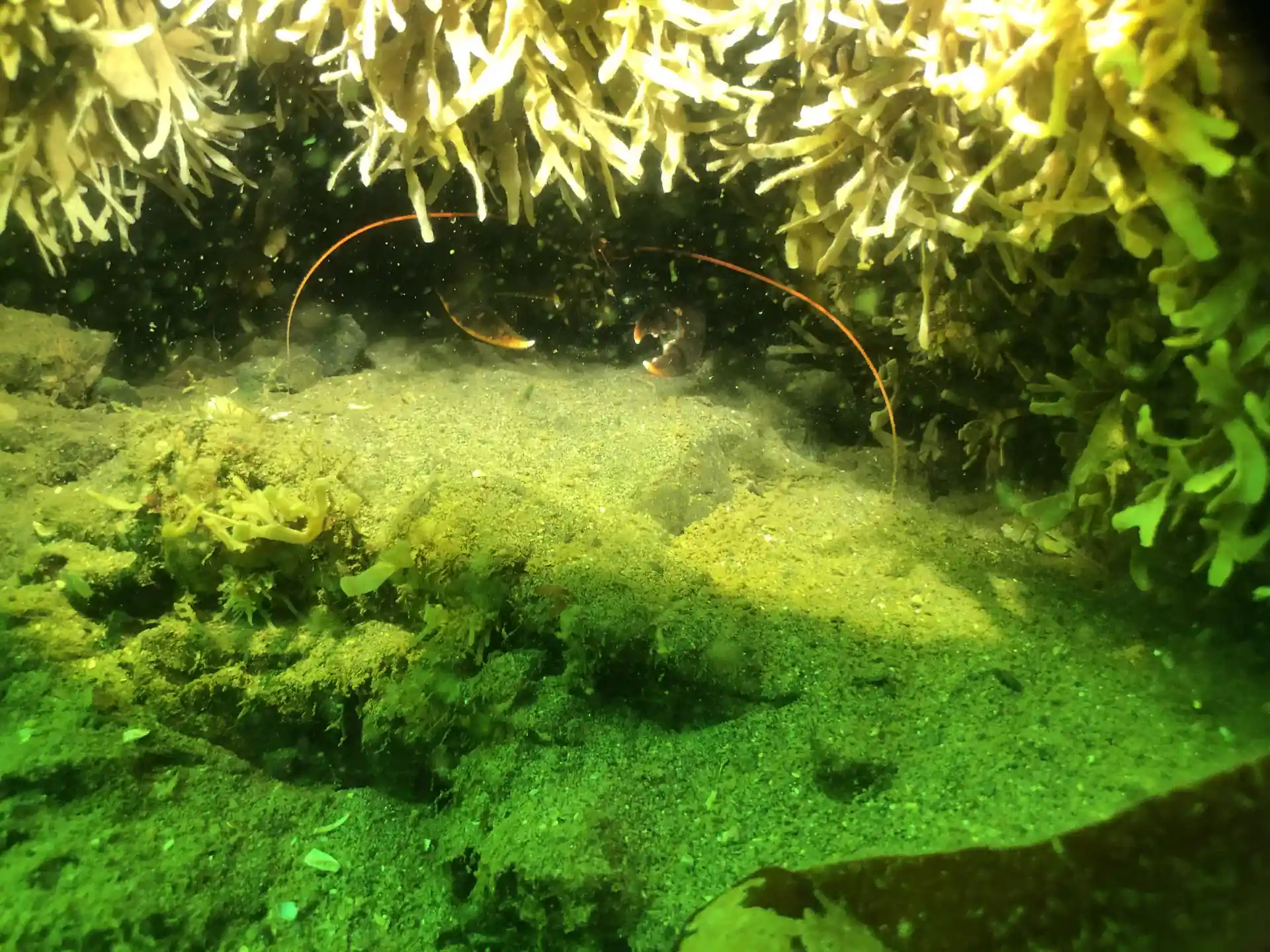 Foto de la actividad