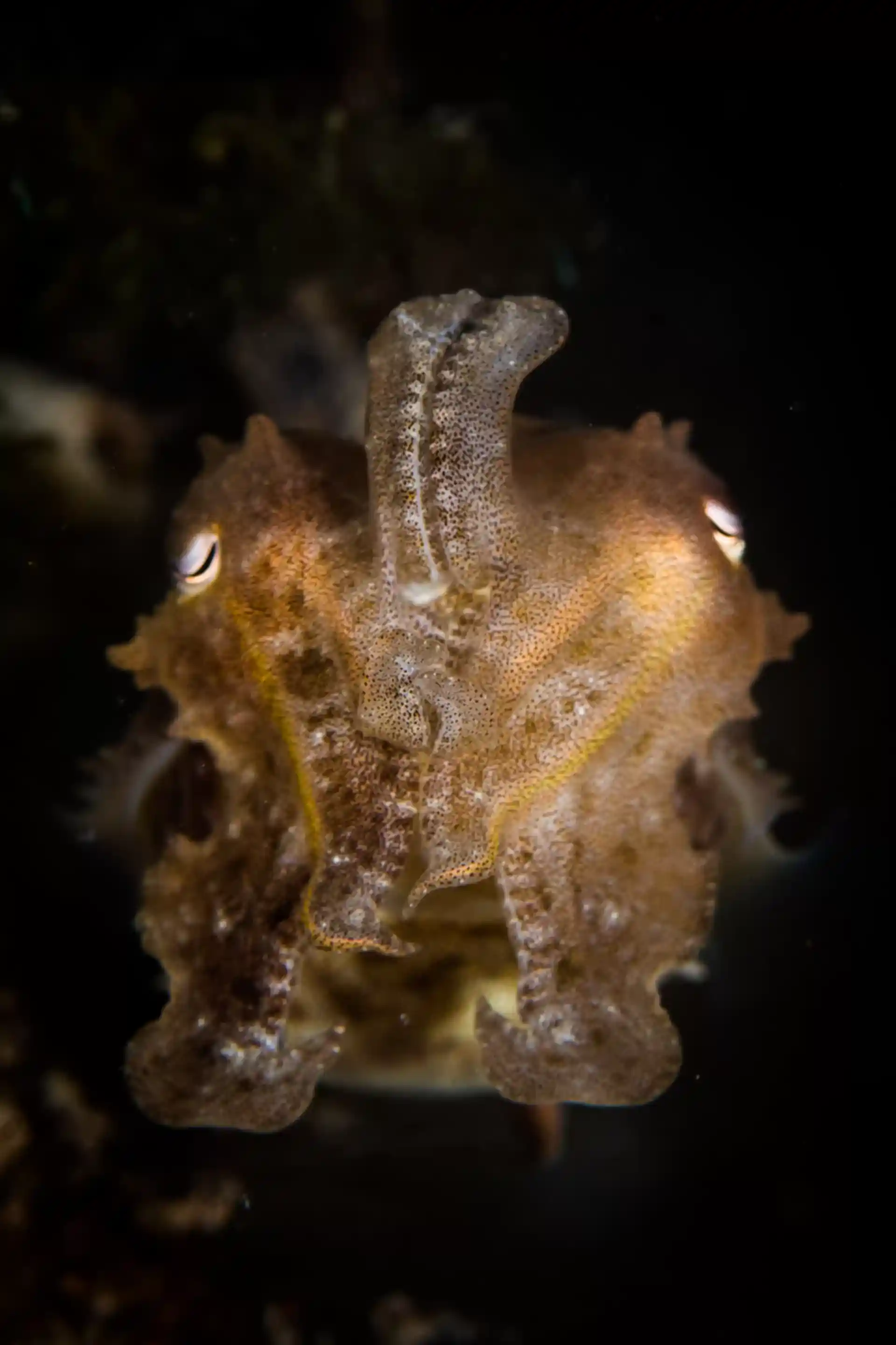 Dive site photo