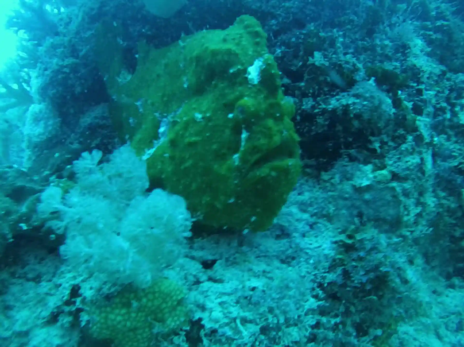 Dive shop photo