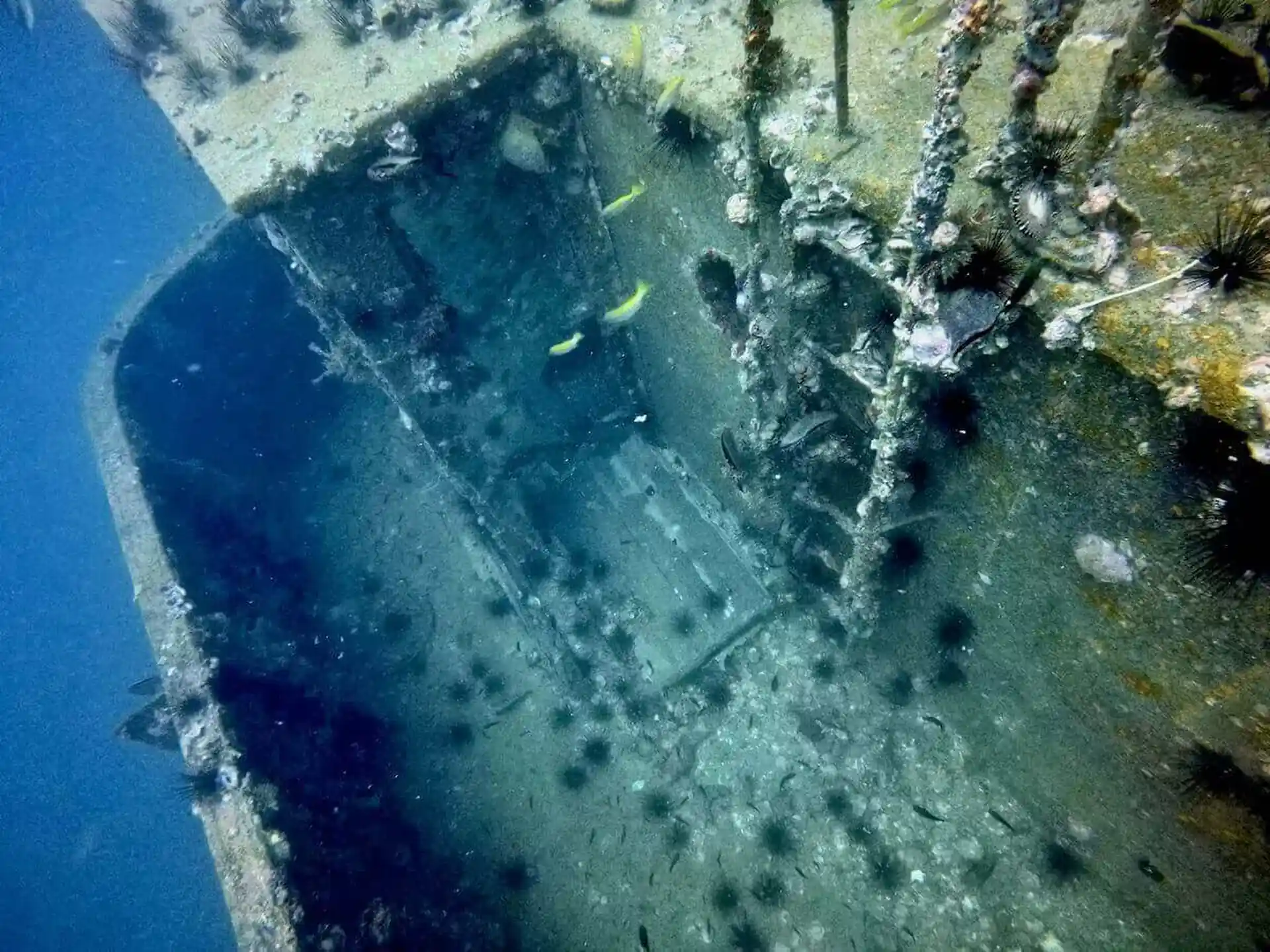 Dive site photo