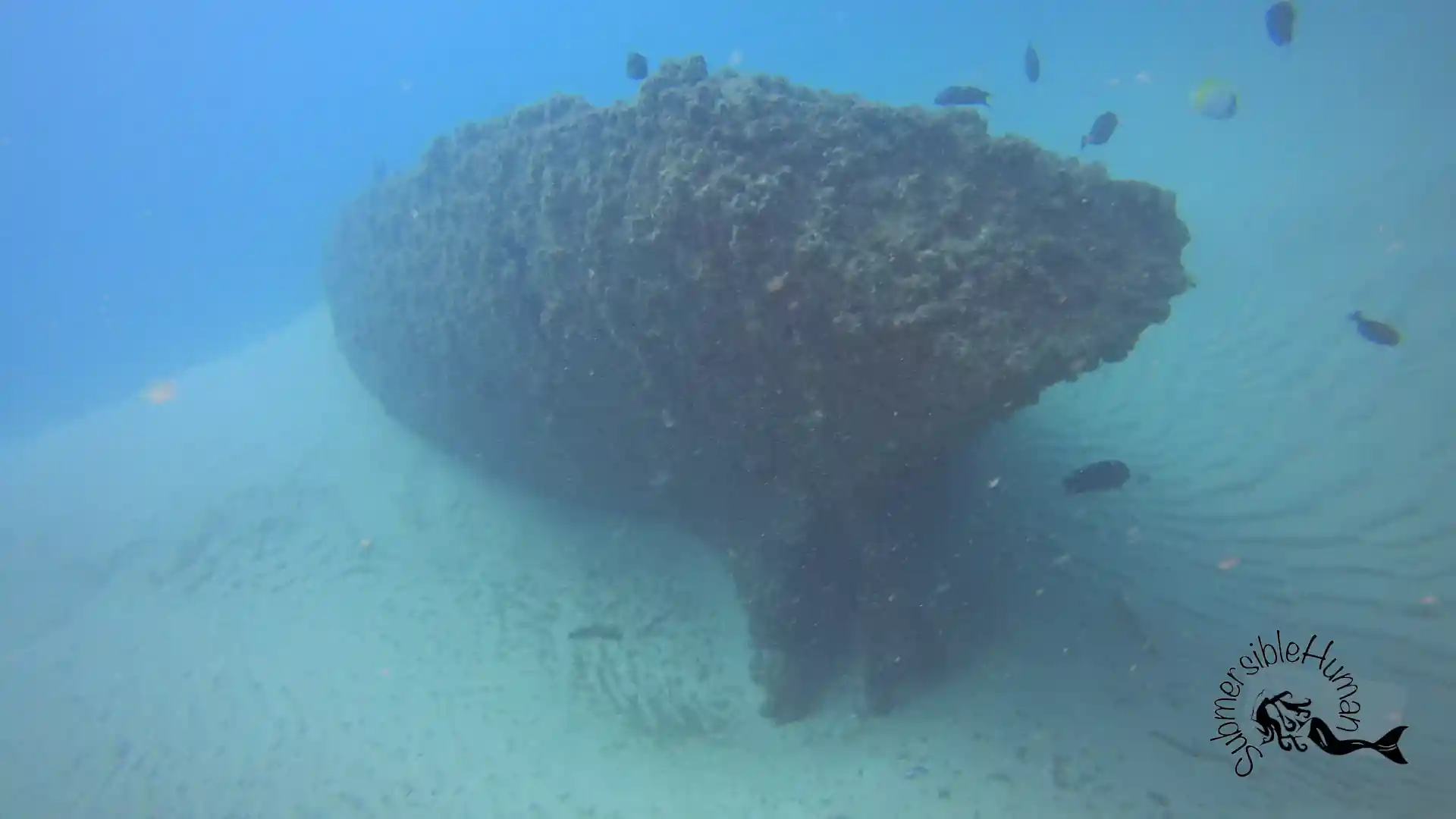 Dive site photo