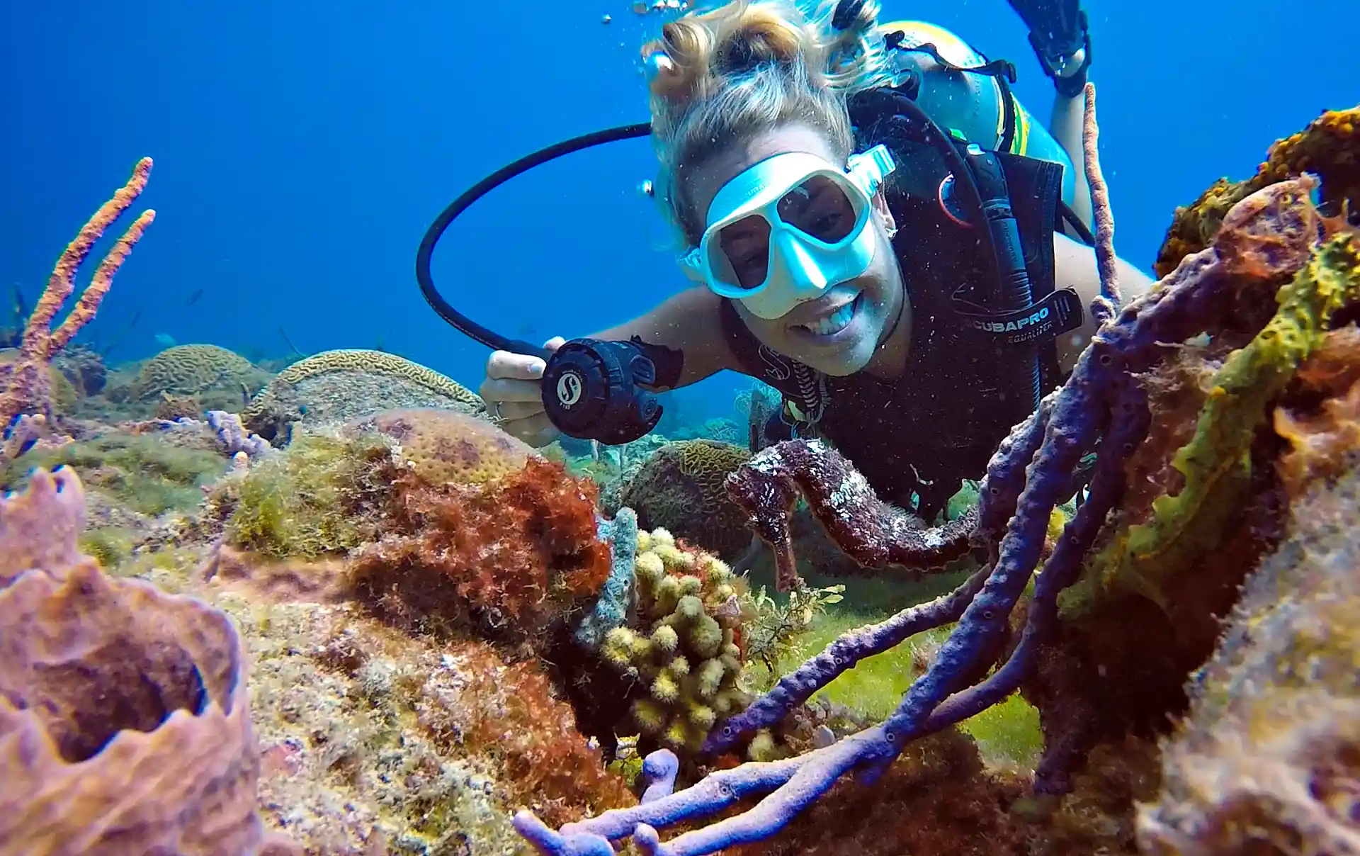 Dive site photo