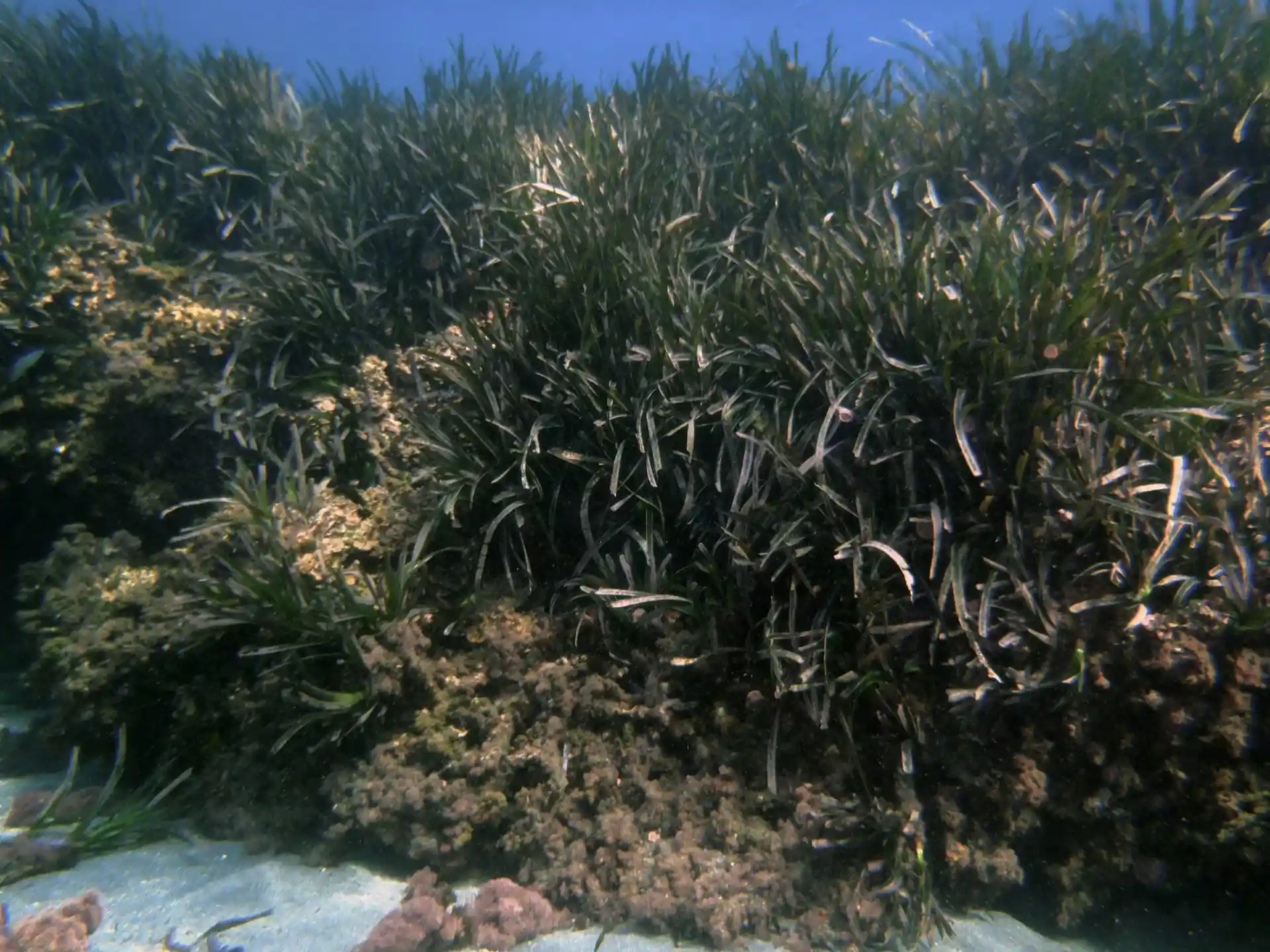 Foto del sitio de buceo